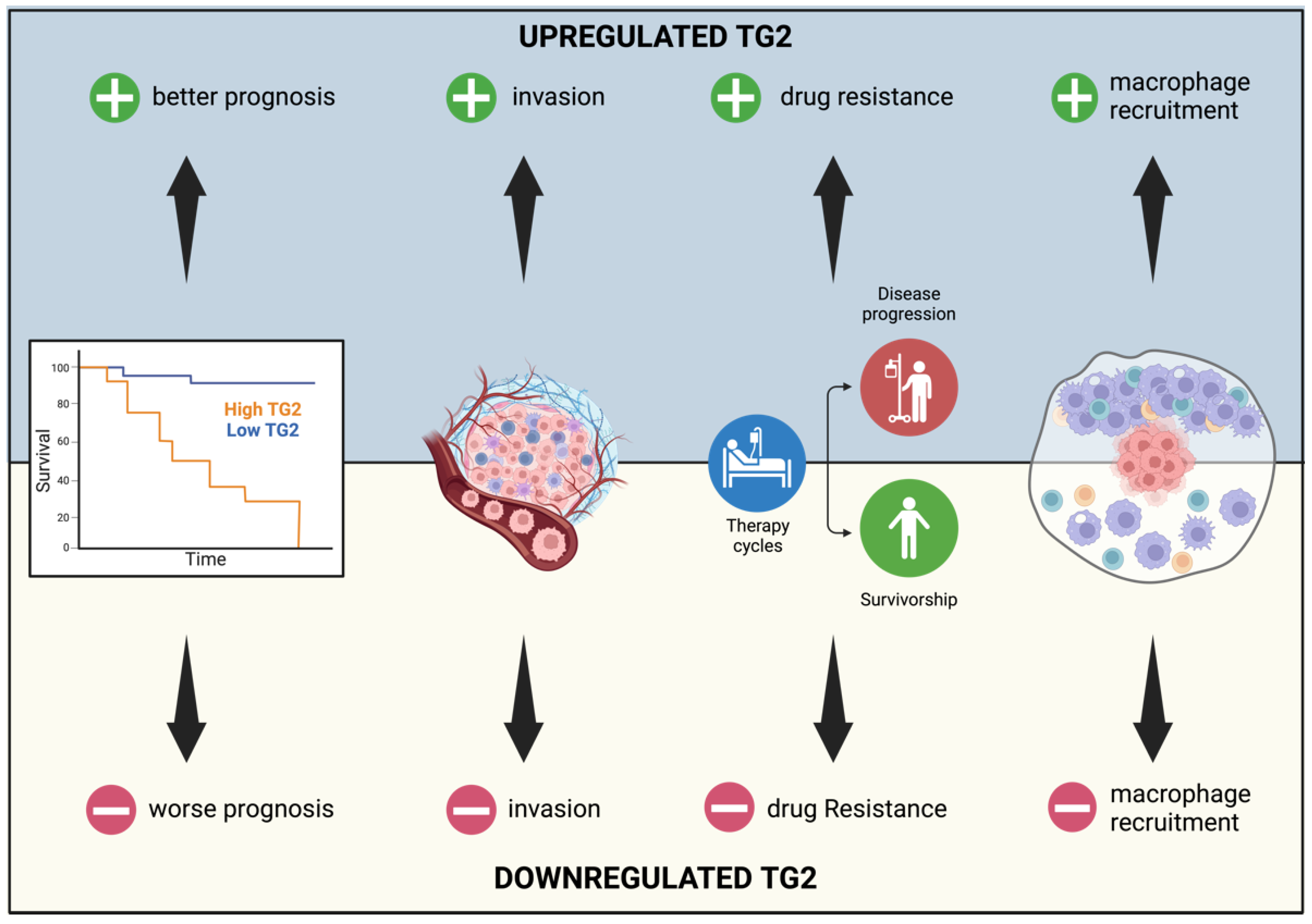 Ijms 25 02797 g008 Ijms 25 02797 g008