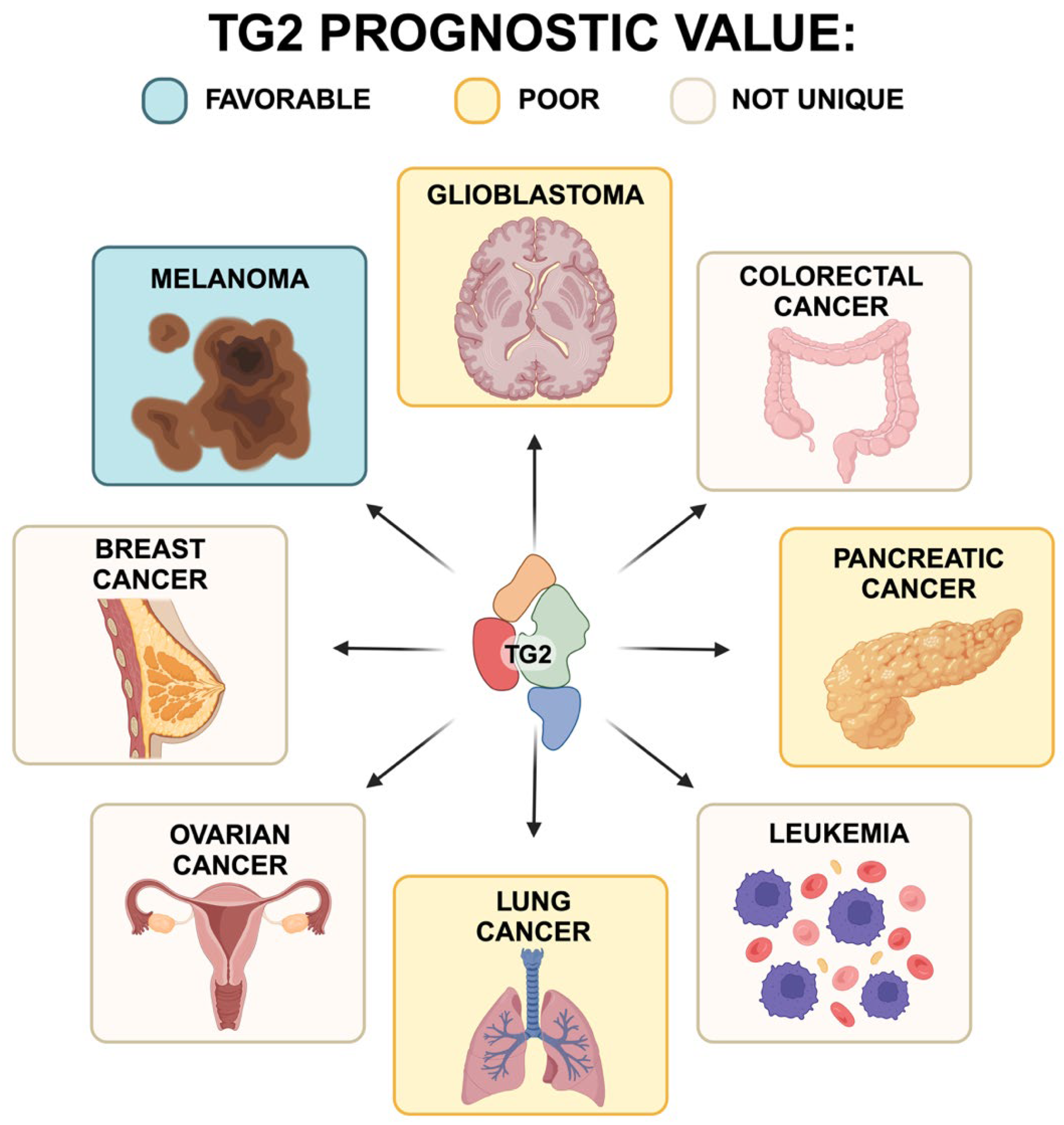 Ijms 25 02797 g009 Ijms 25 02797 g009