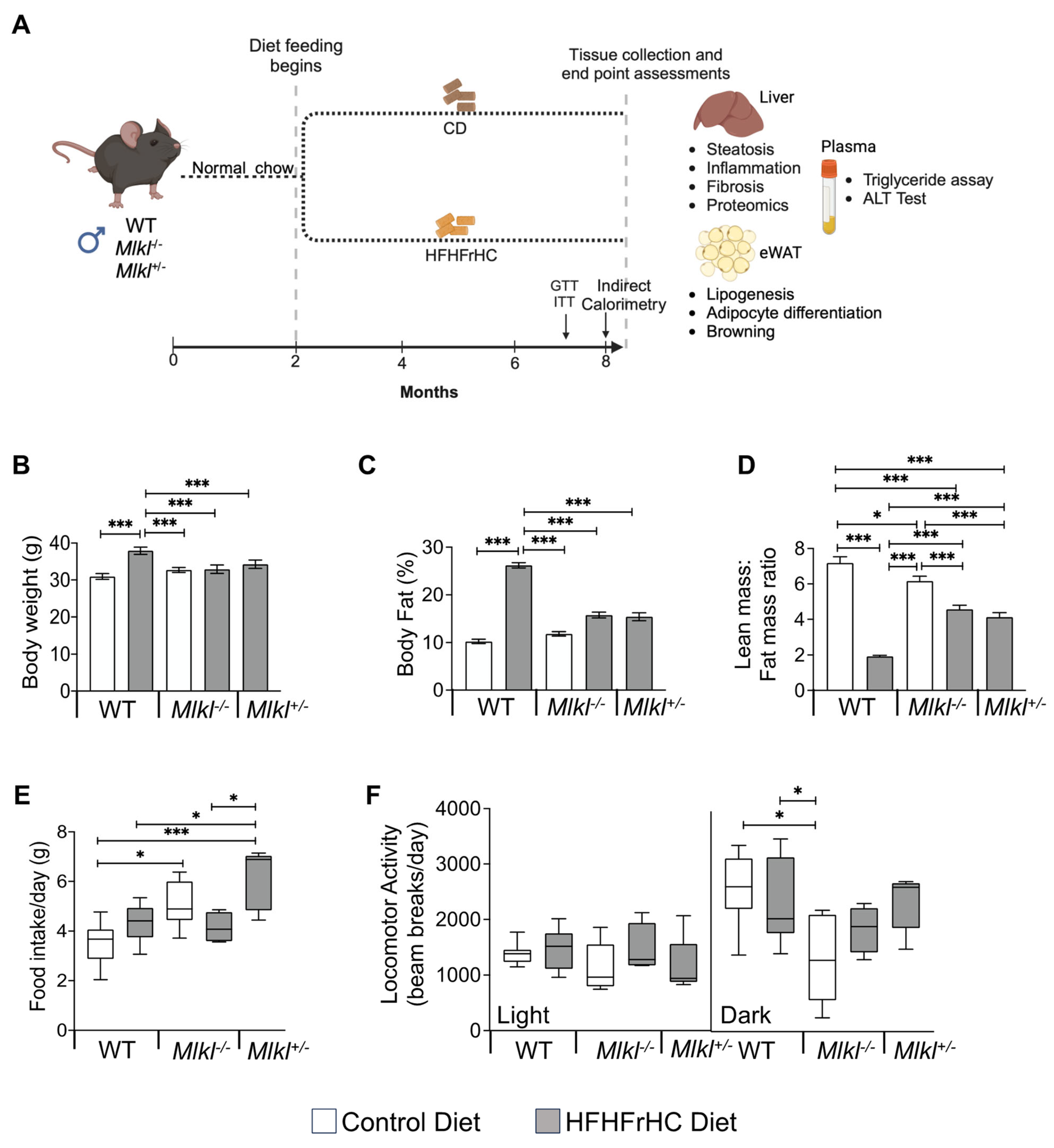 Ijms 25 02813 g001 Ijms 25 02813 g001