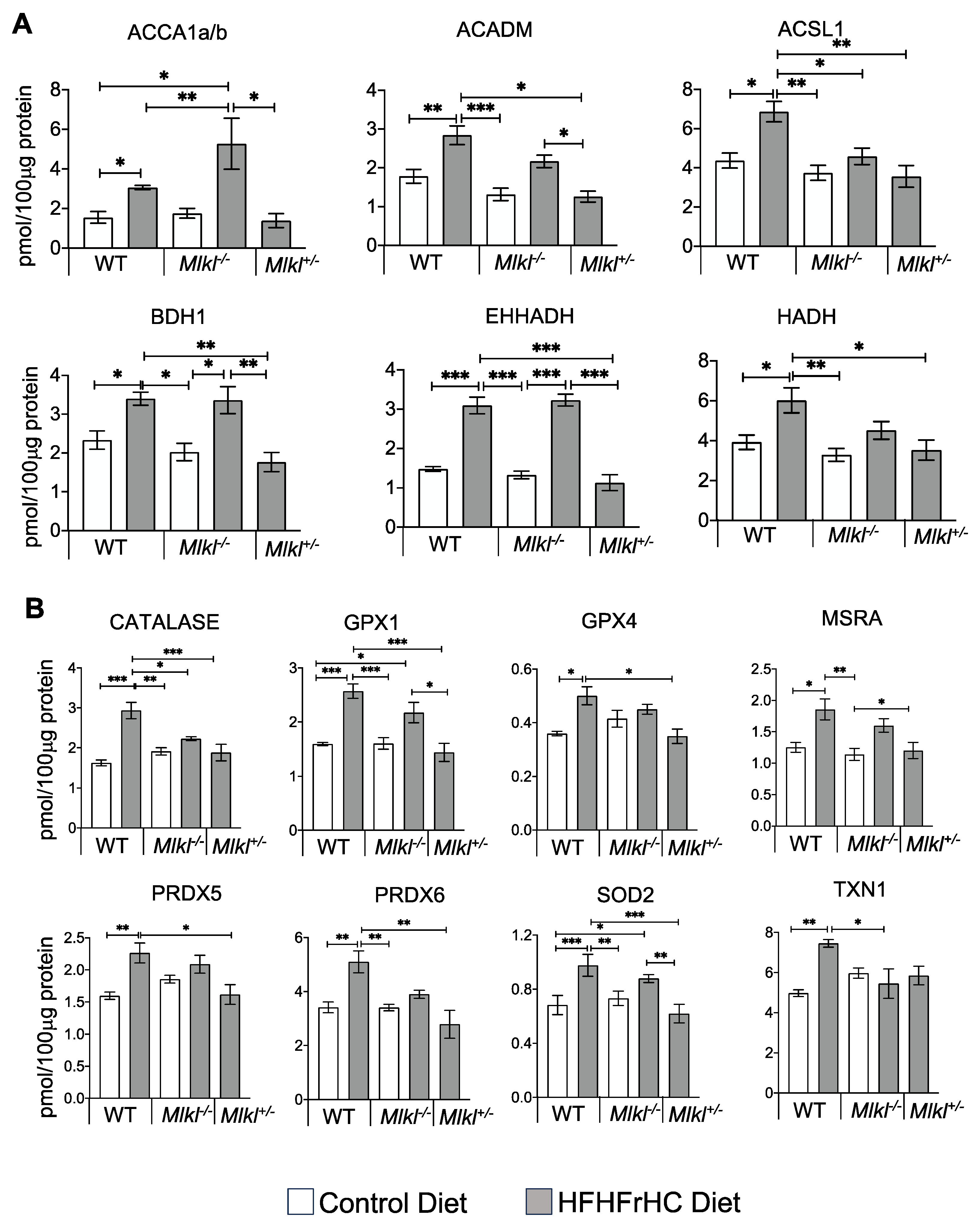 Ijms 25 02813 g003 Ijms 25 02813 g003