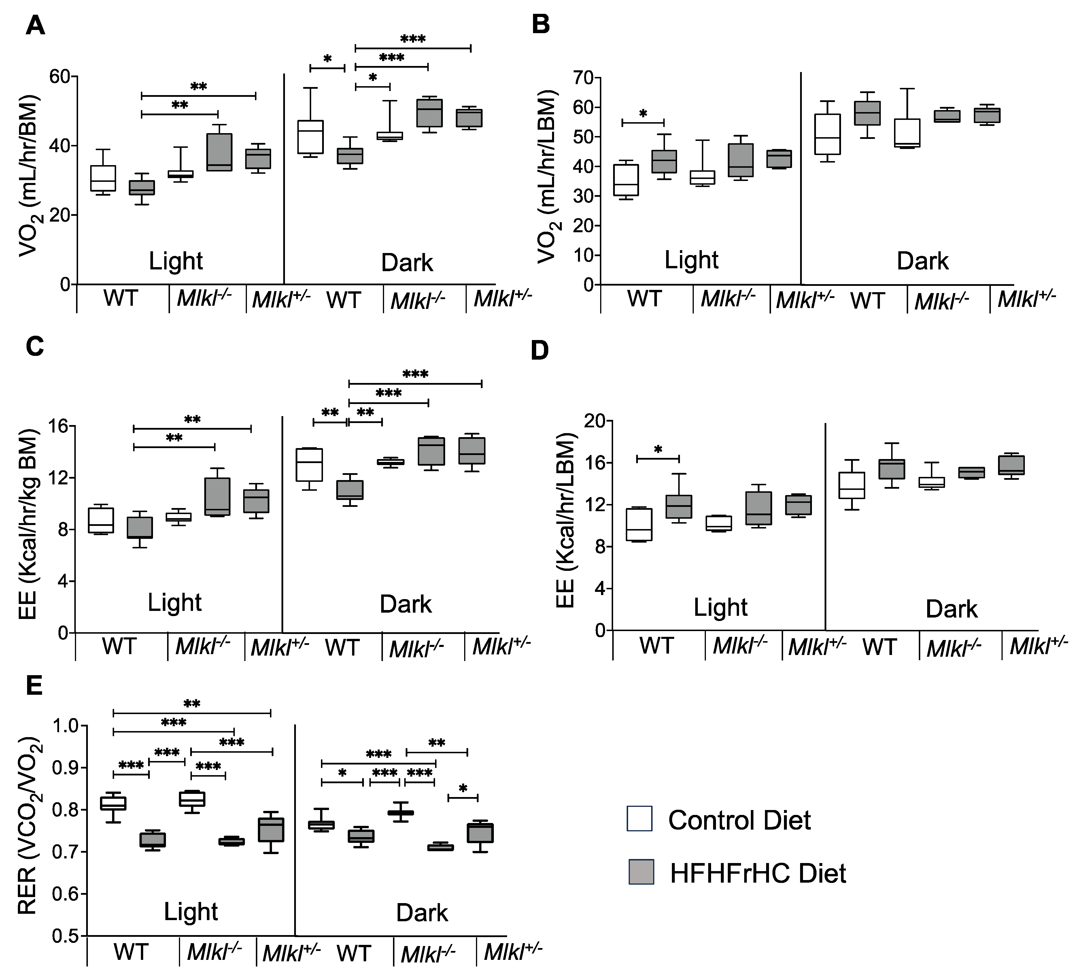 Ijms 25 02813 g007 Ijms 25 02813 g007