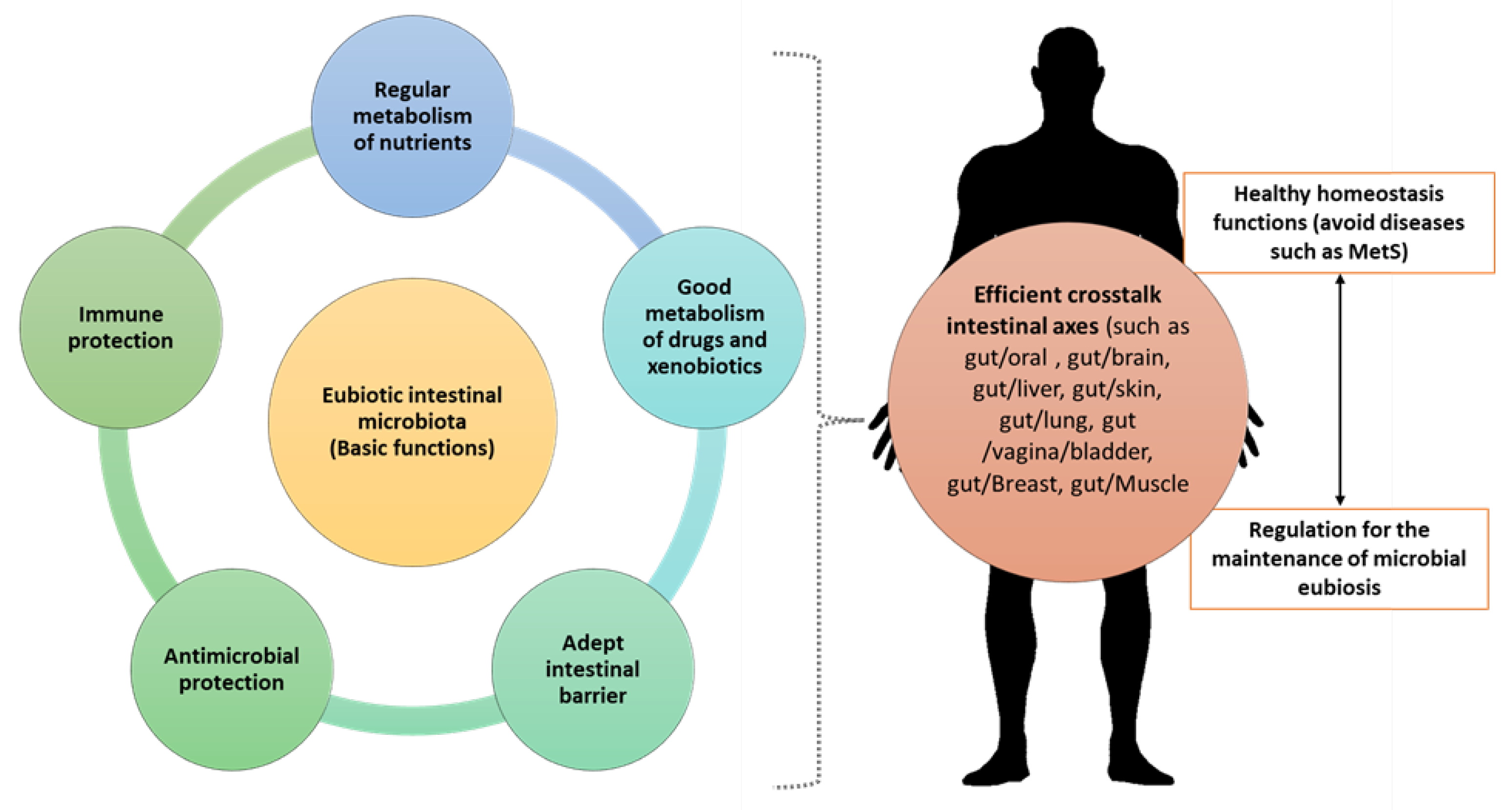 Ijms 25 02841 g001 Ijms 25 02841 g001
