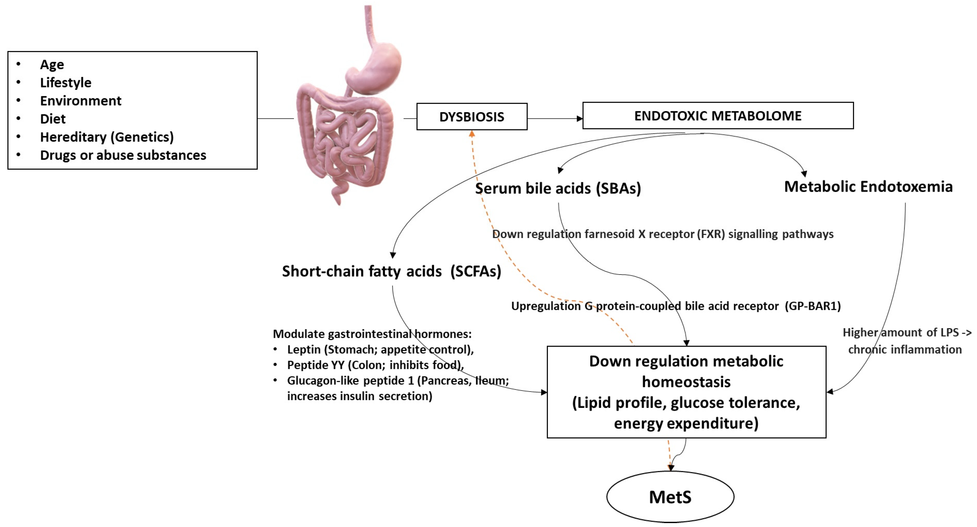 Ijms 25 02841 g002 Ijms 25 02841 g002