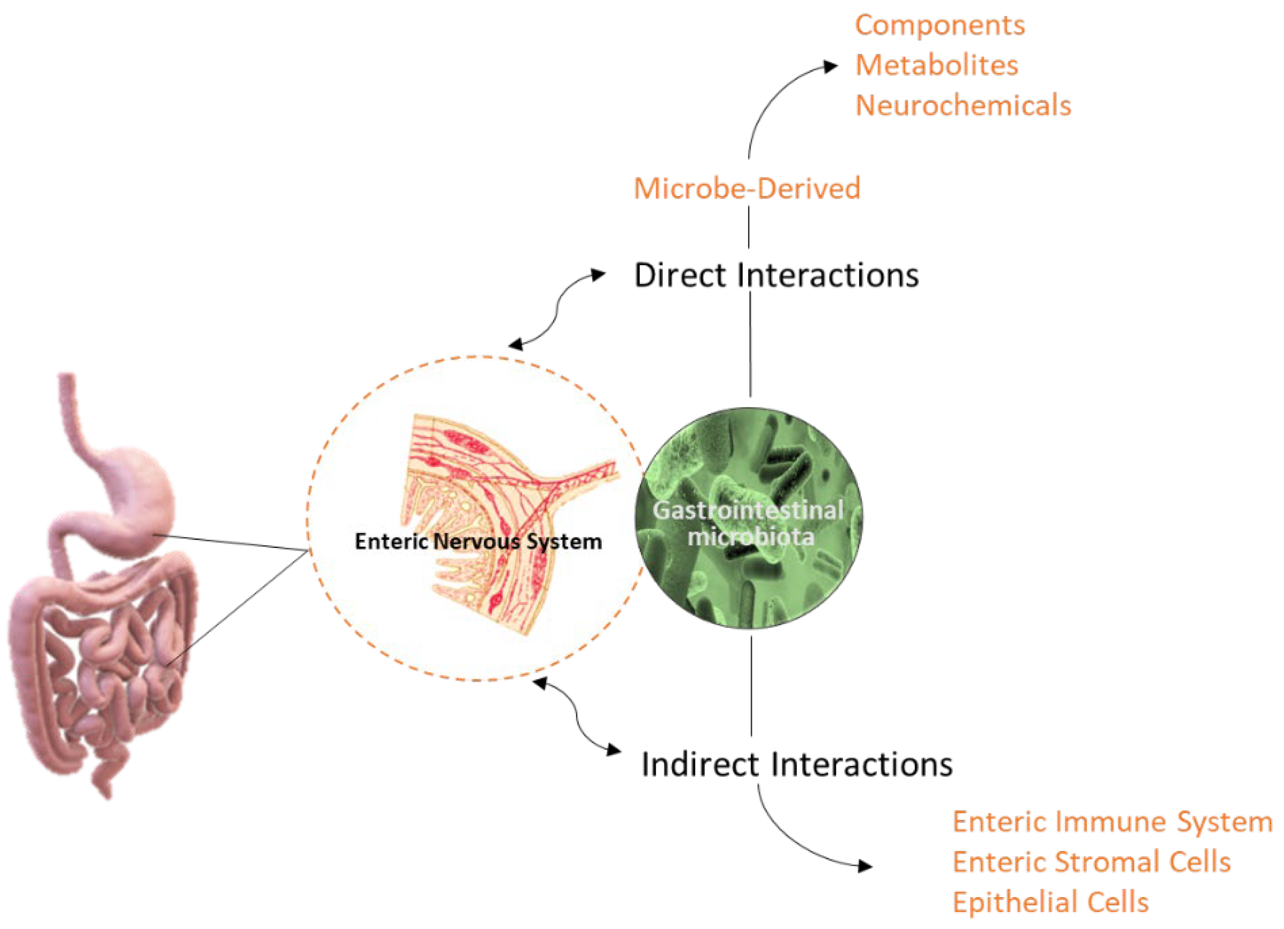 Ijms 25 02841 g003 Ijms 25 02841 g003