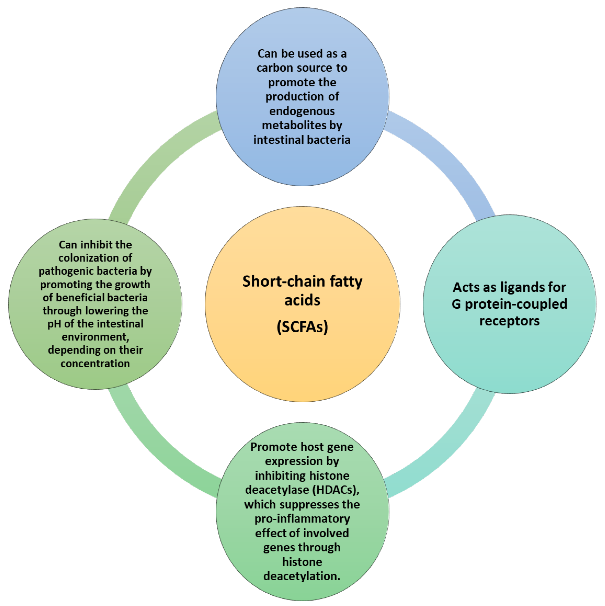 Ijms 25 02841 g006 Ijms 25 02841 g006