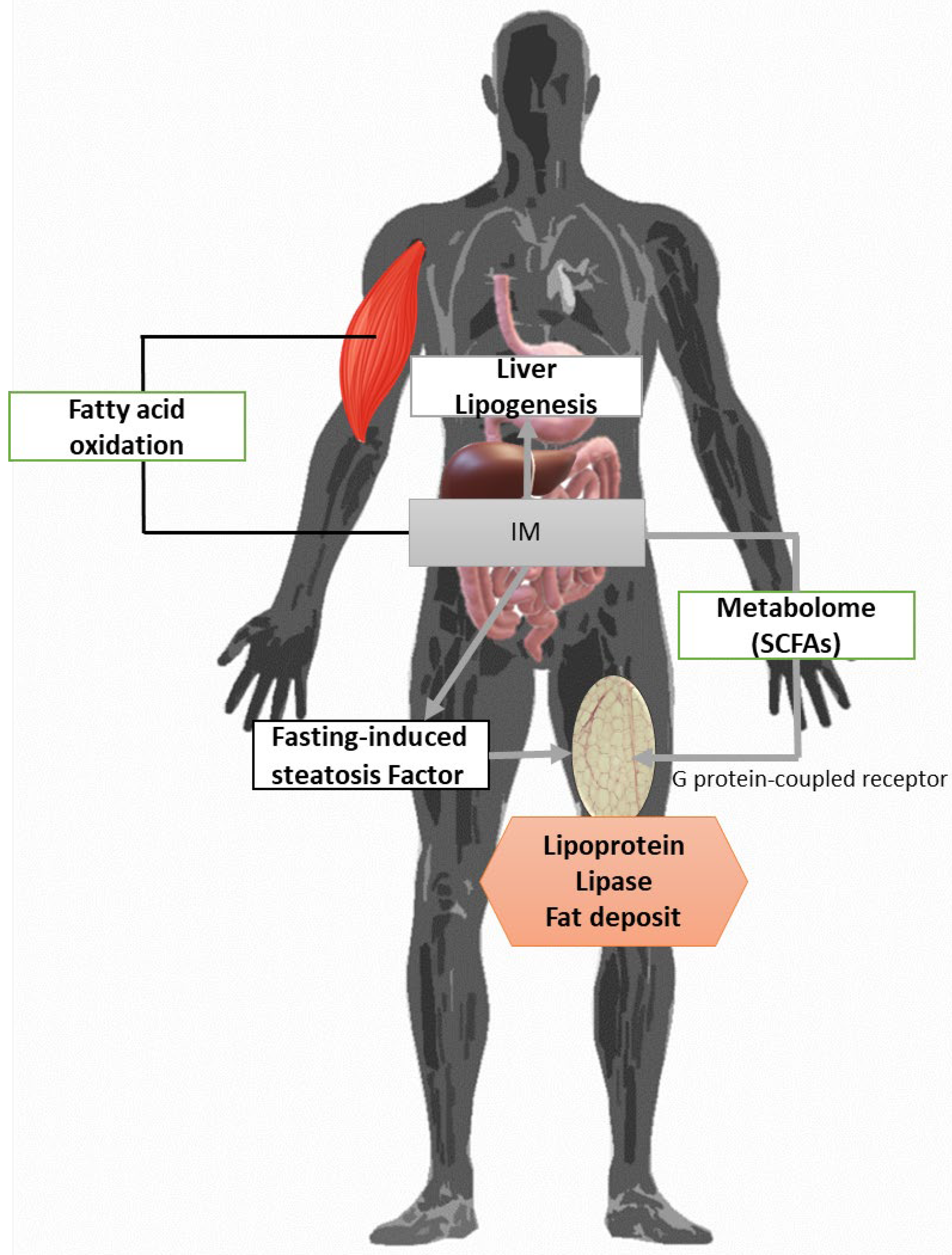 Ijms 25 02841 g008 Ijms 25 02841 g008
