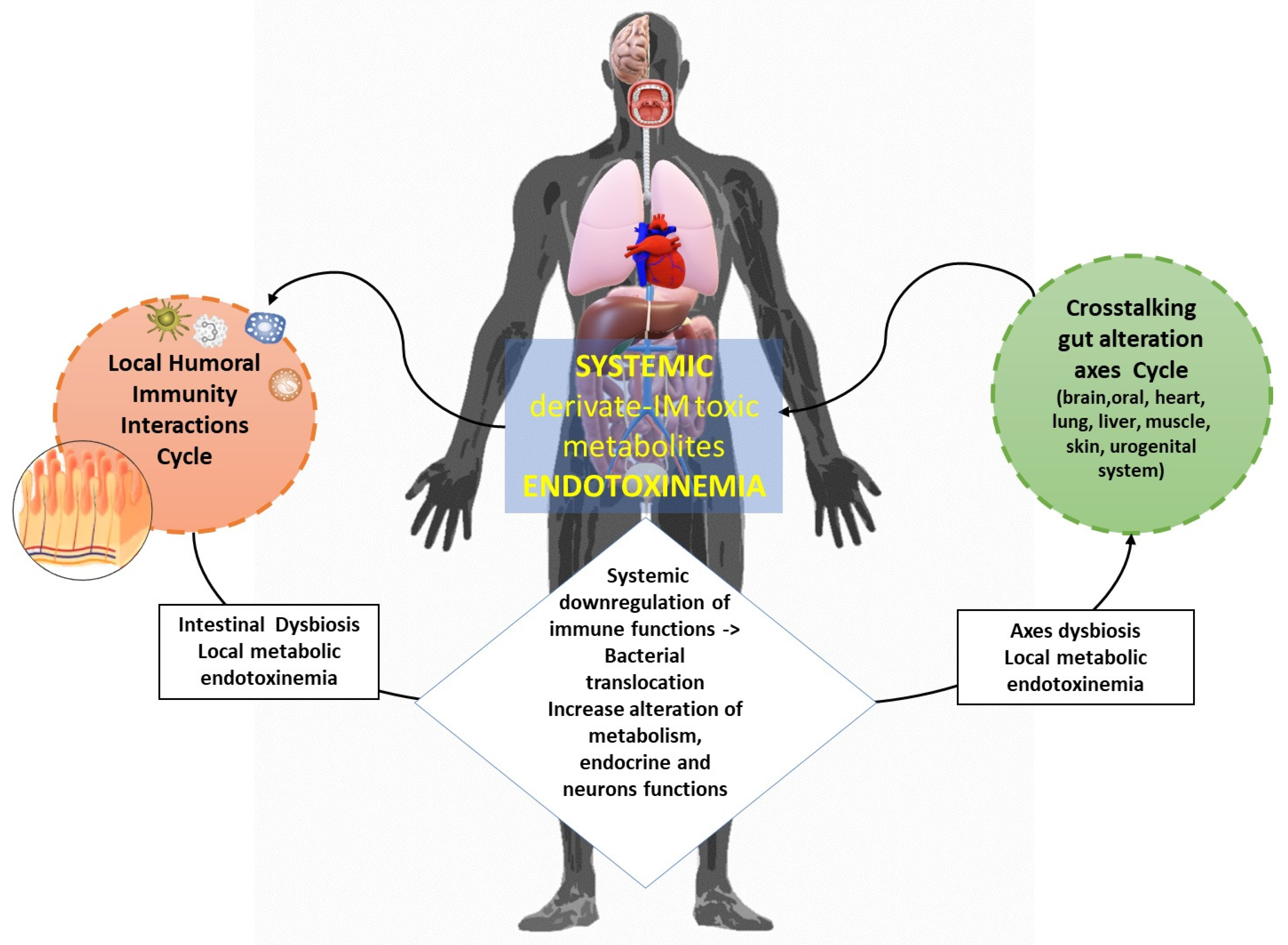 Ijms 25 02841 g009 Ijms 25 02841 g009