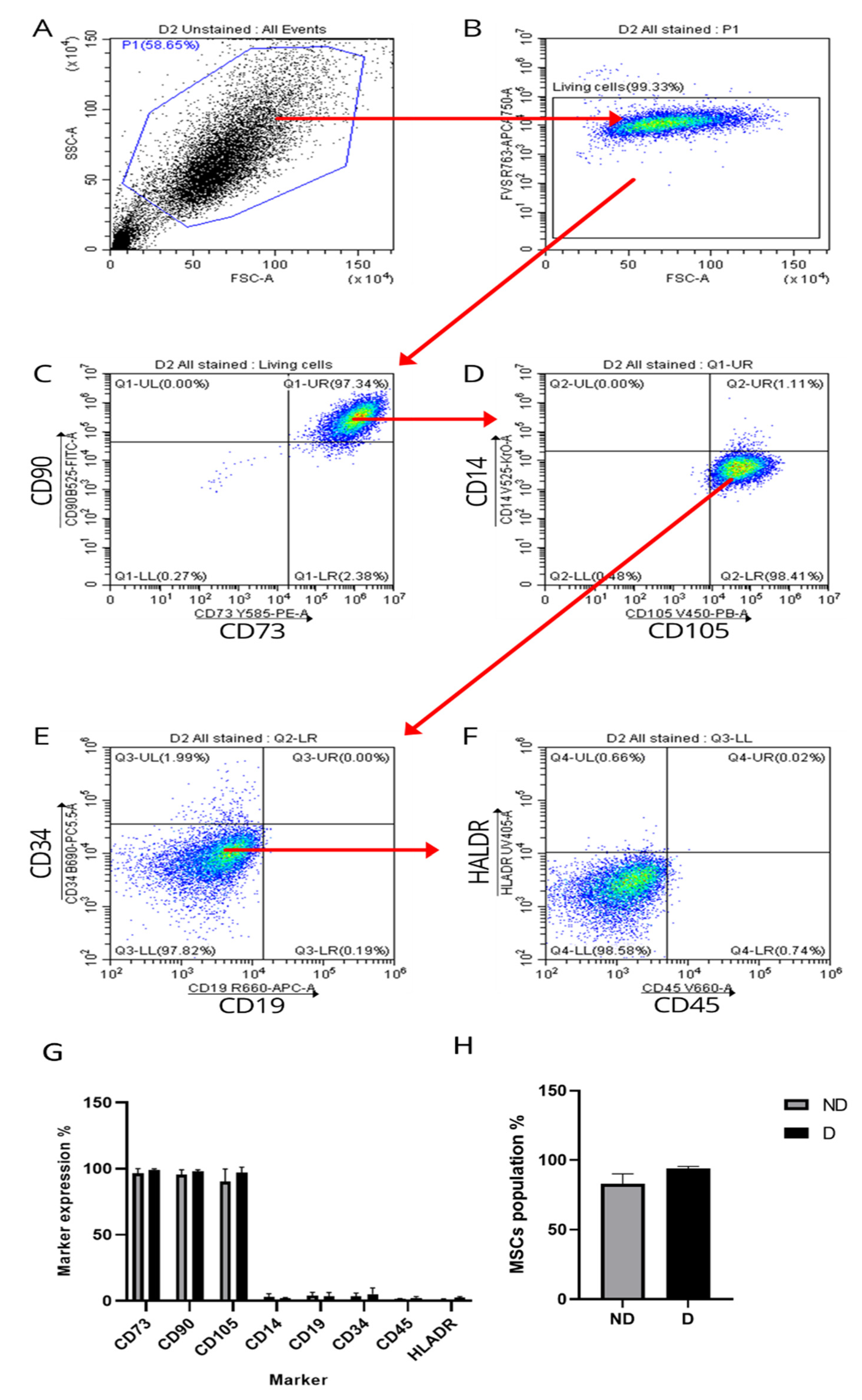 Ijms 25 02851 g002 Ijms 25 02851 g002