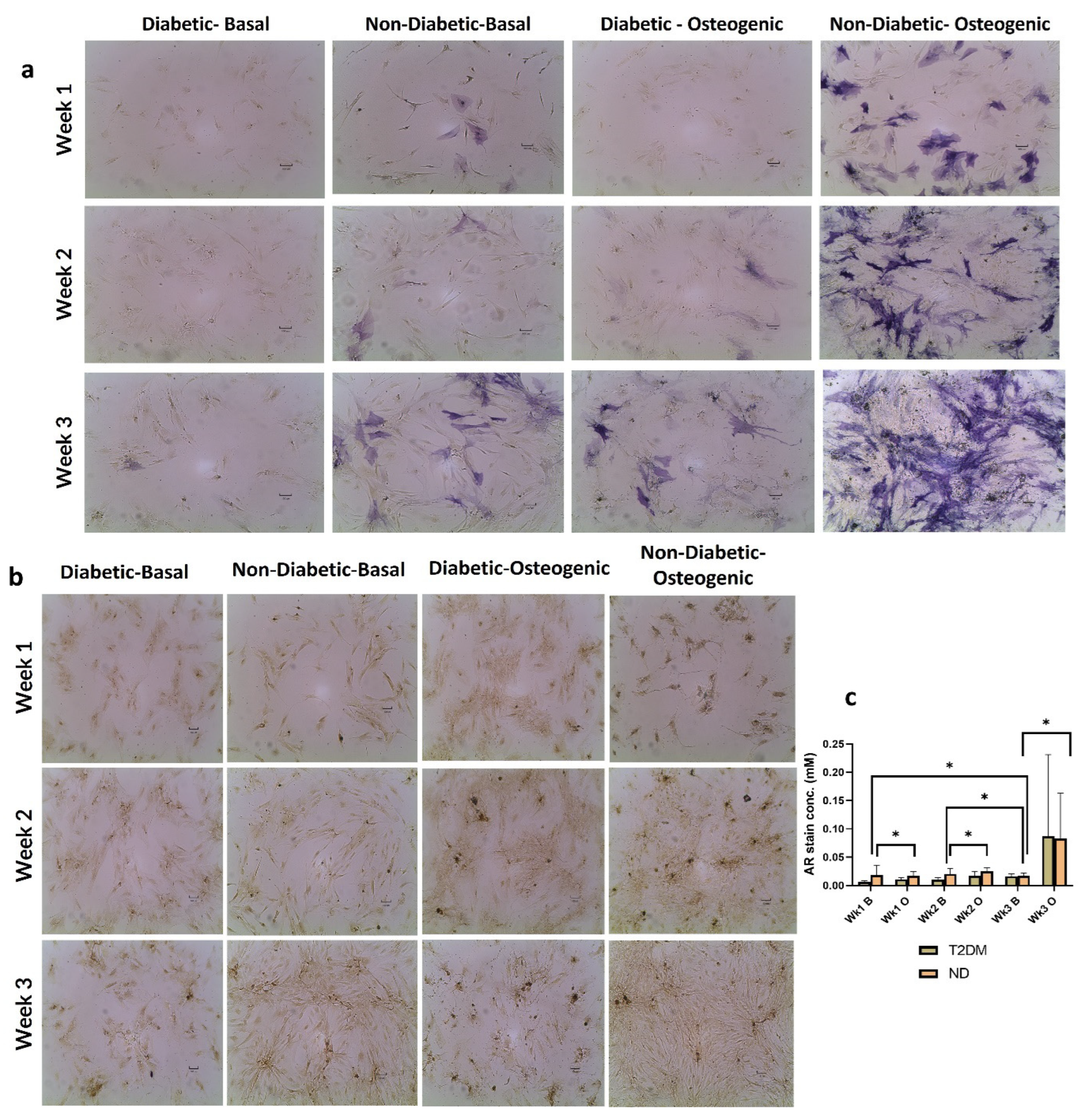 Ijms 25 02851 g003 Ijms 25 02851 g003