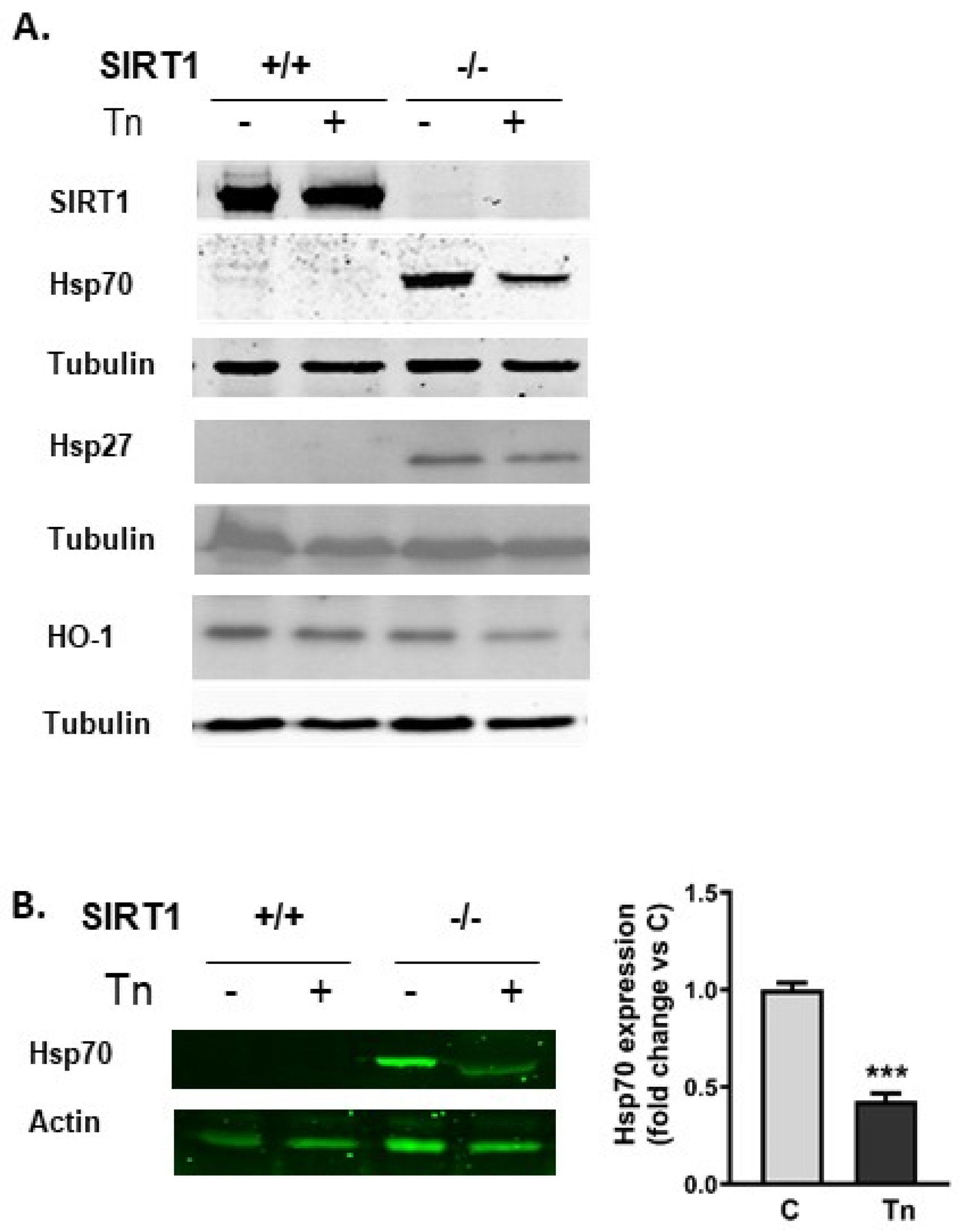 Ijms 25 02856 g002 Ijms 25 02856 g002