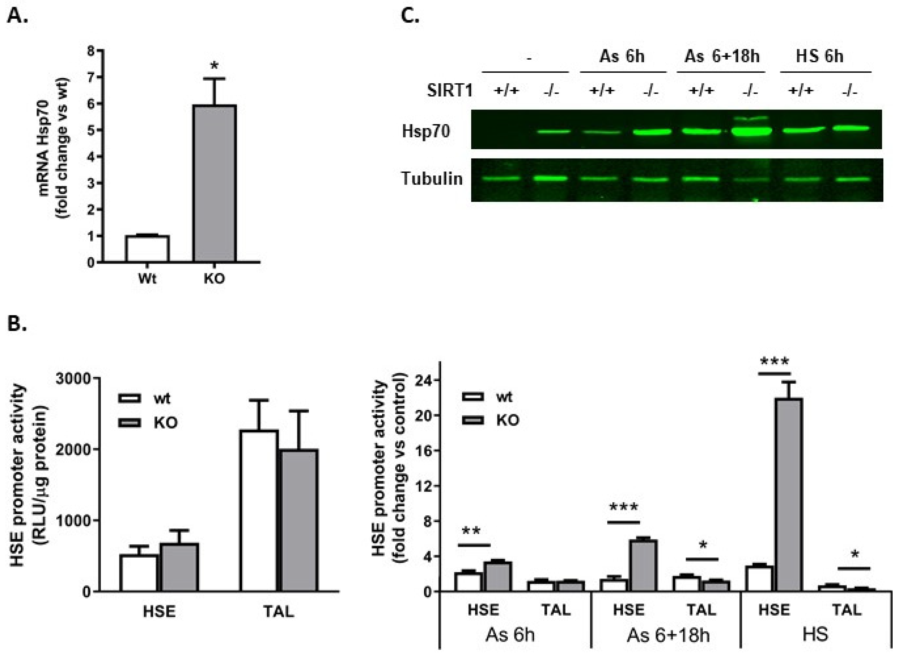 Ijms 25 02856 g004 Ijms 25 02856 g004