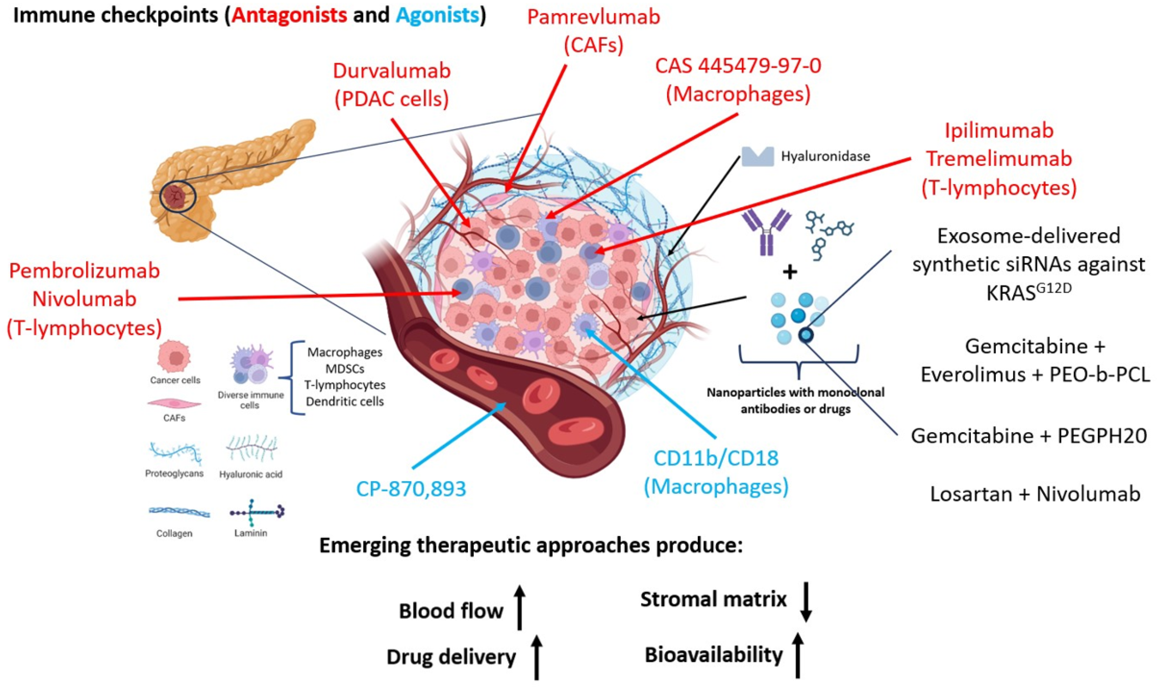 Ijms 25 02860 g002 Ijms 25 02860 g002