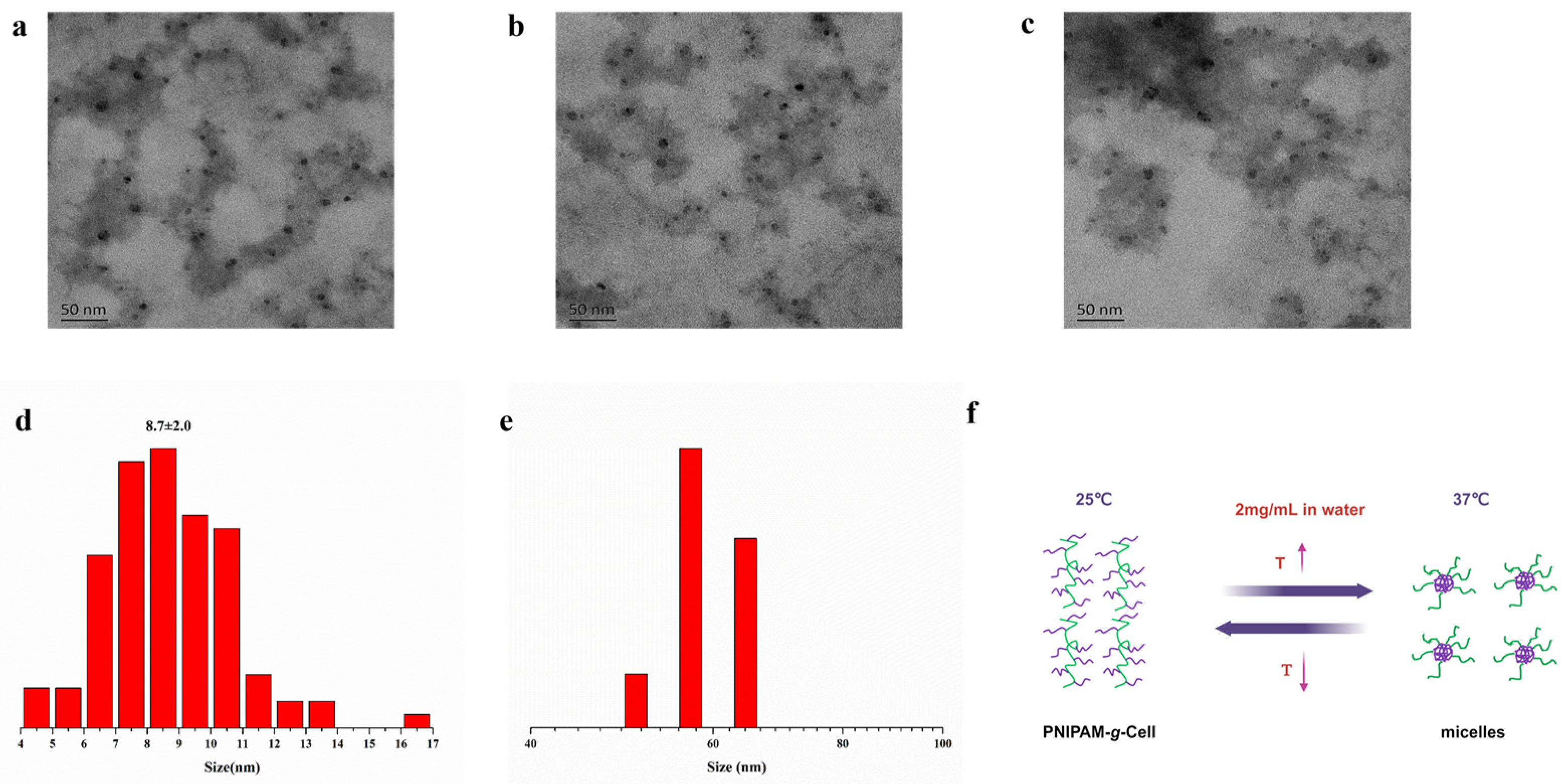 Ijms 25 02867 g003 Ijms 25 02867 g003