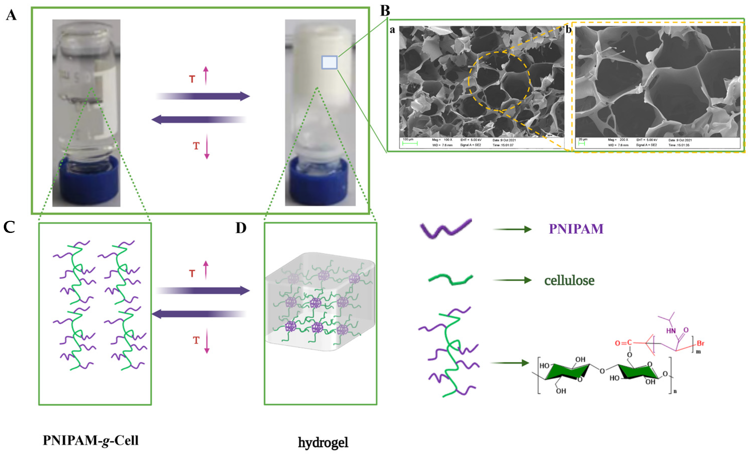 Ijms 25 02867 g004 Ijms 25 02867 g004
