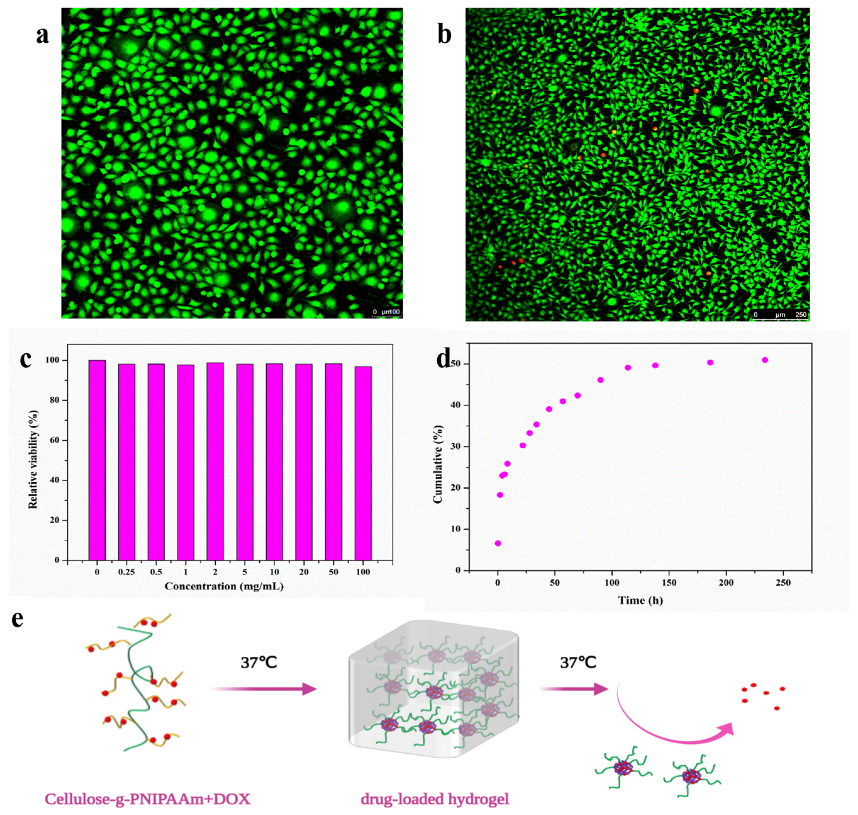 Ijms 25 02867 g006 Ijms 25 02867 g006