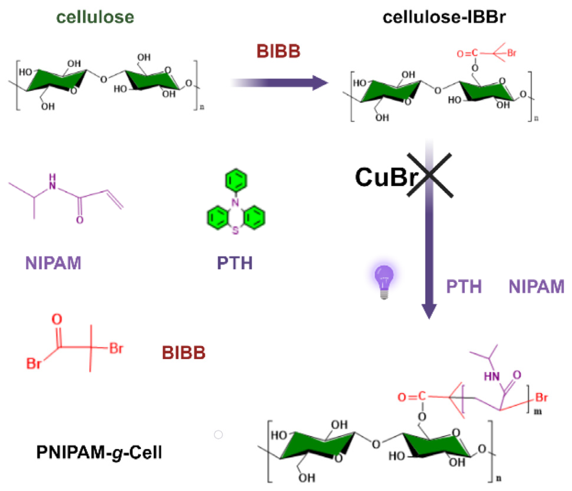 Ijms 25 02867 sch001 Ijms 25 02867 sch001