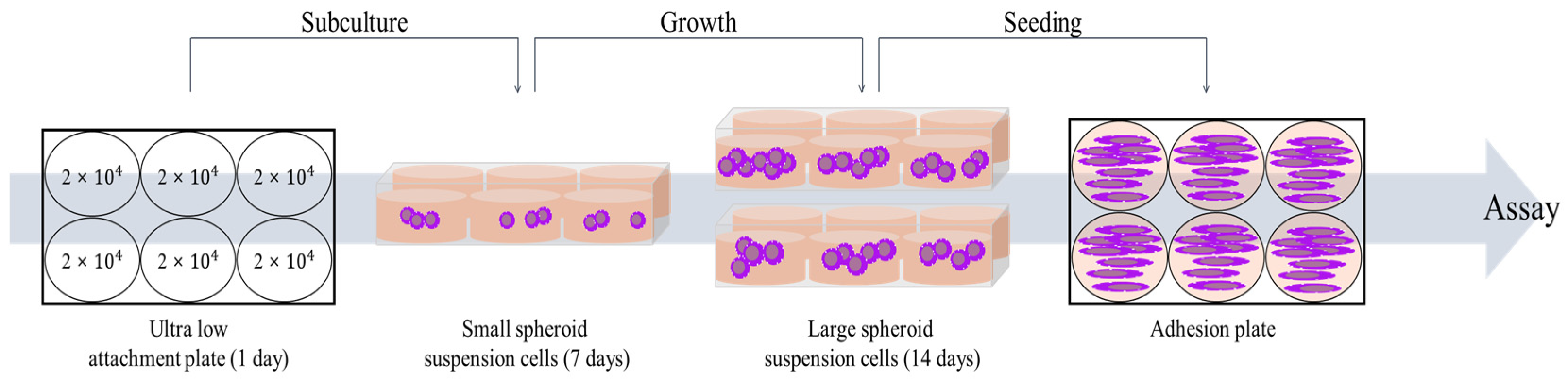 Ijms 25 02876 sch001