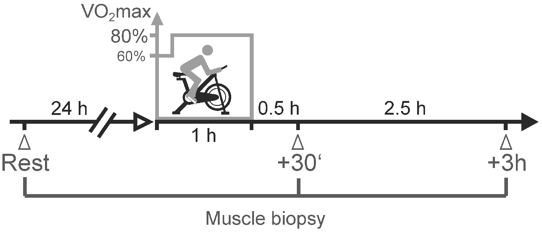 Ijms 25 02881 g001 Ijms 25 02881 g001