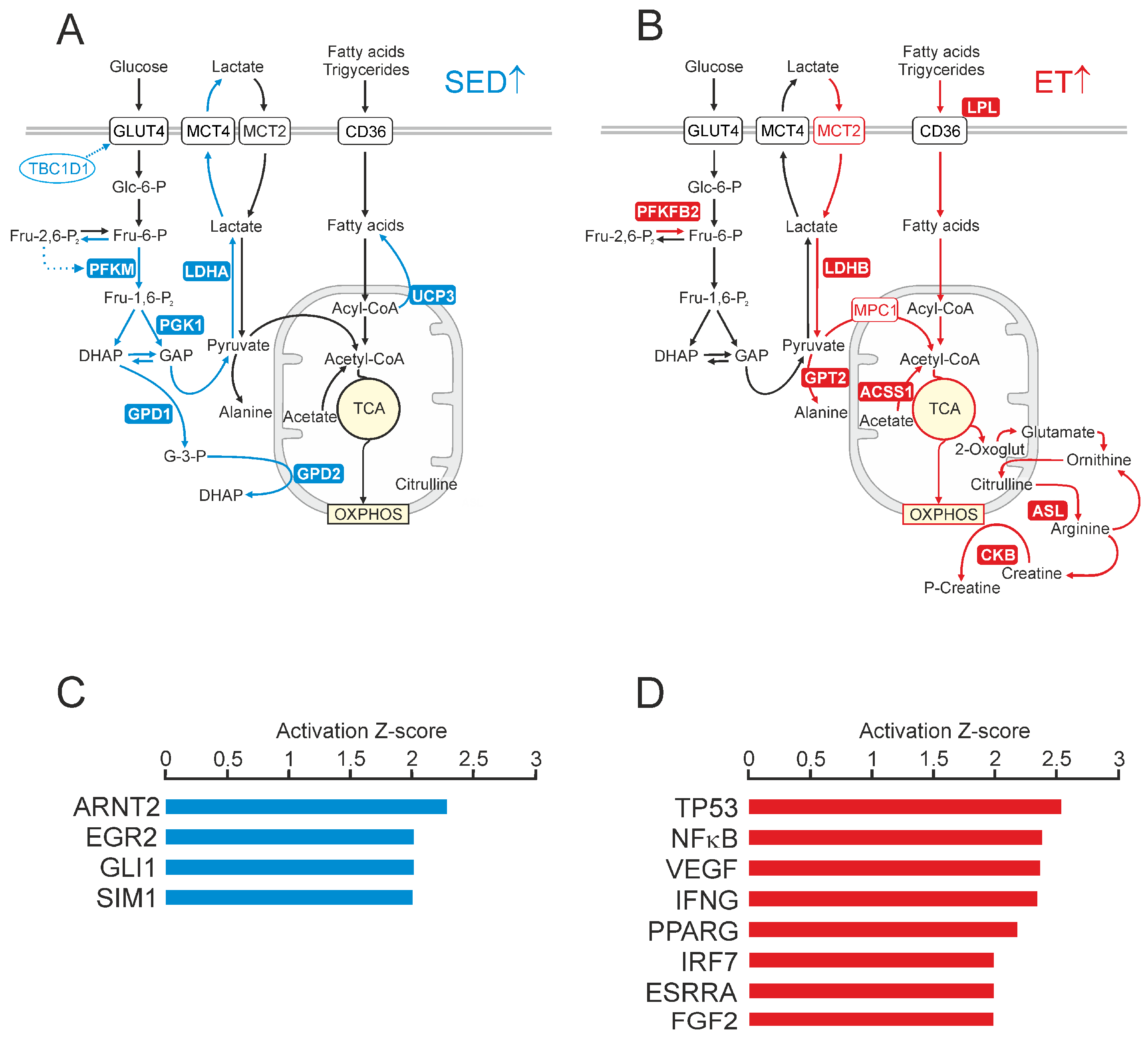 Ijms 25 02881 g003 Ijms 25 02881 g003