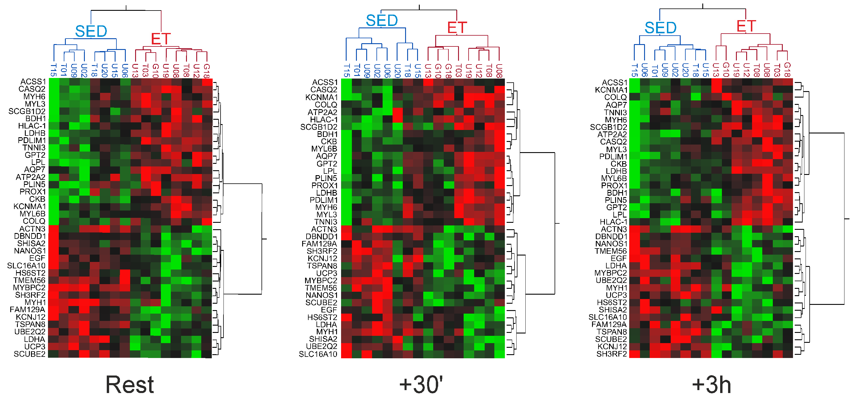 Ijms 25 02881 g006 Ijms 25 02881 g006