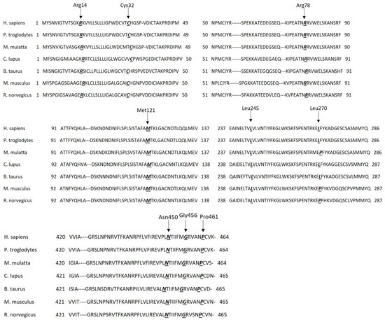 Clinical and Molecular Characterization of Nine Novel Antithrombin 