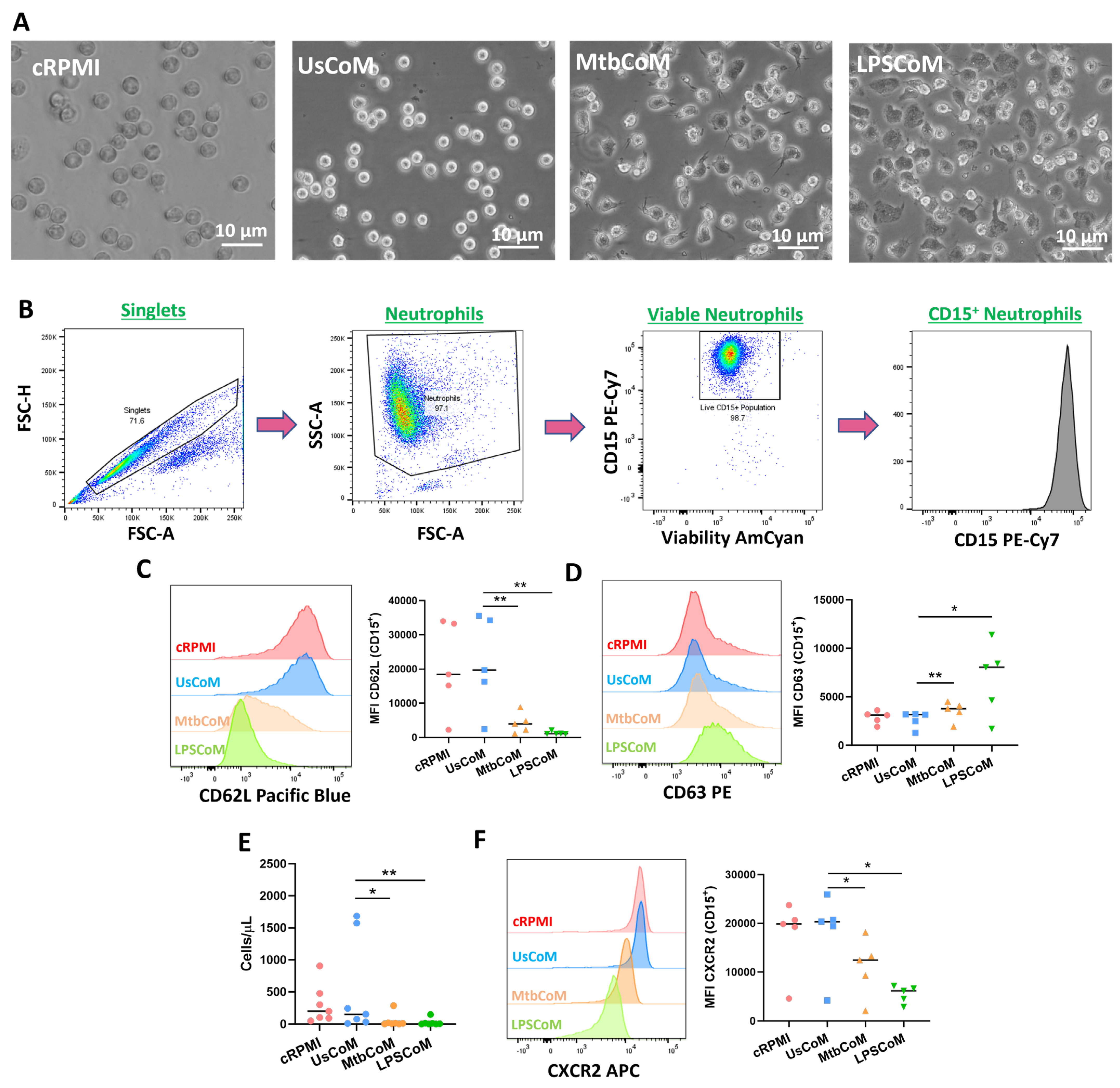 Ijms 25 02898 g003 Ijms 25 02898 g003