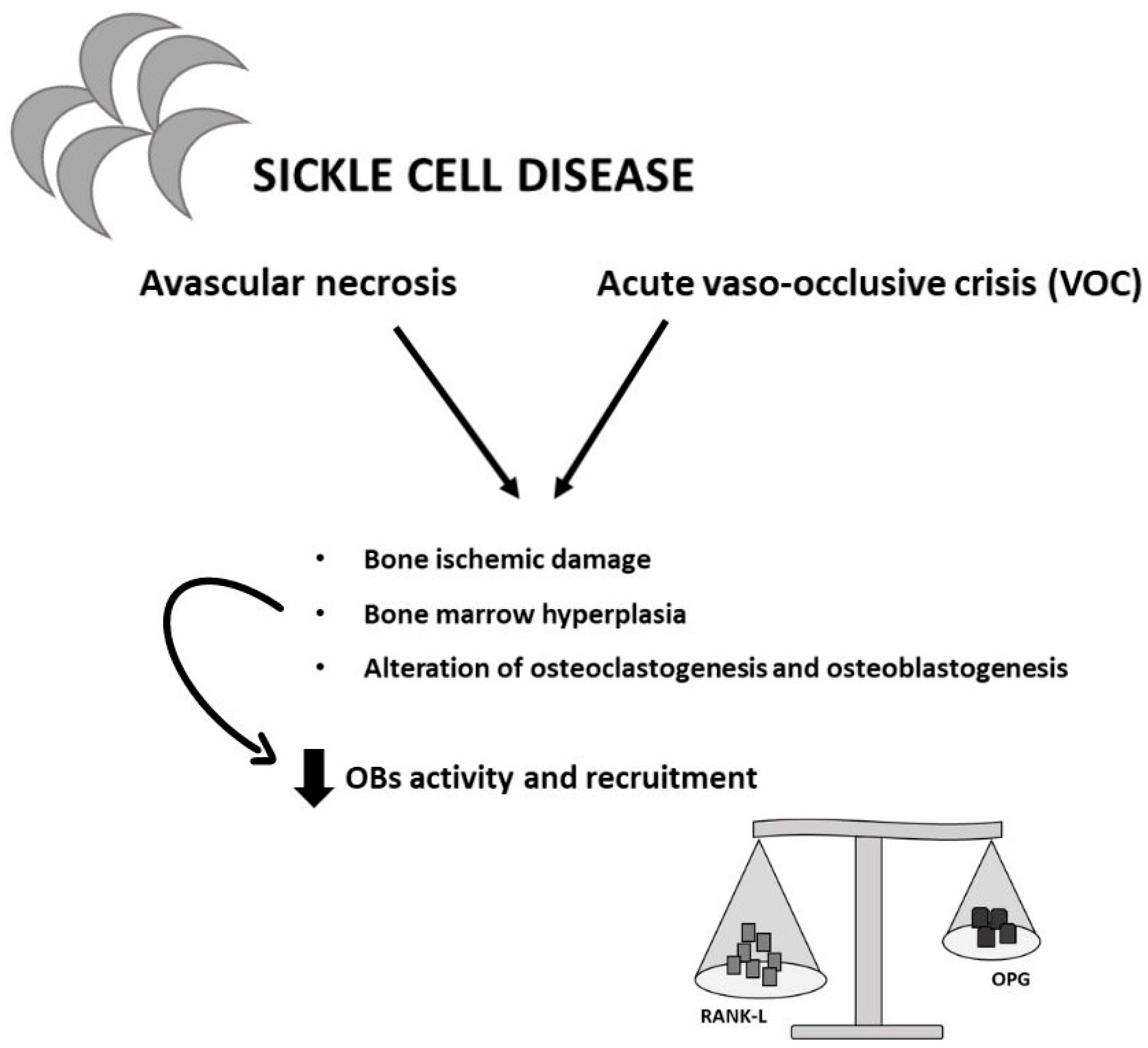 Ijms 25 02902 g005 Ijms 25 02902 g005