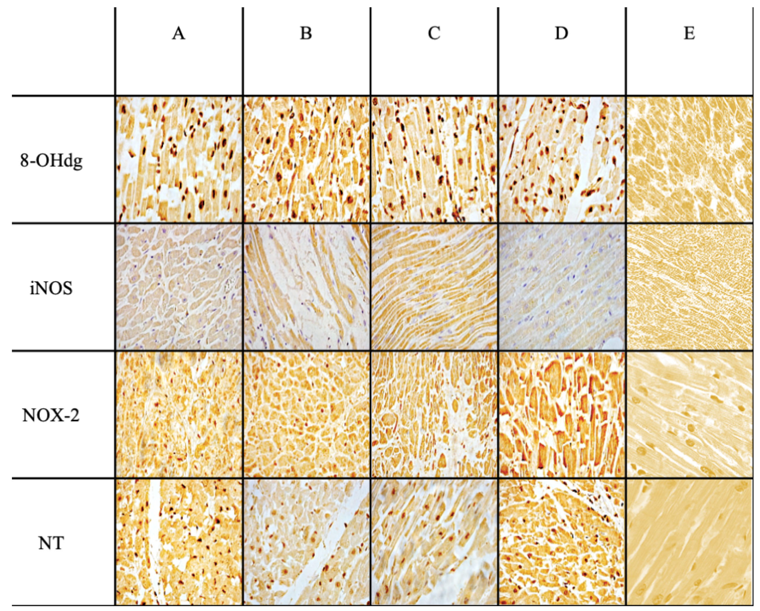 Ijms 25 02912 g001 Ijms 25 02912 g001