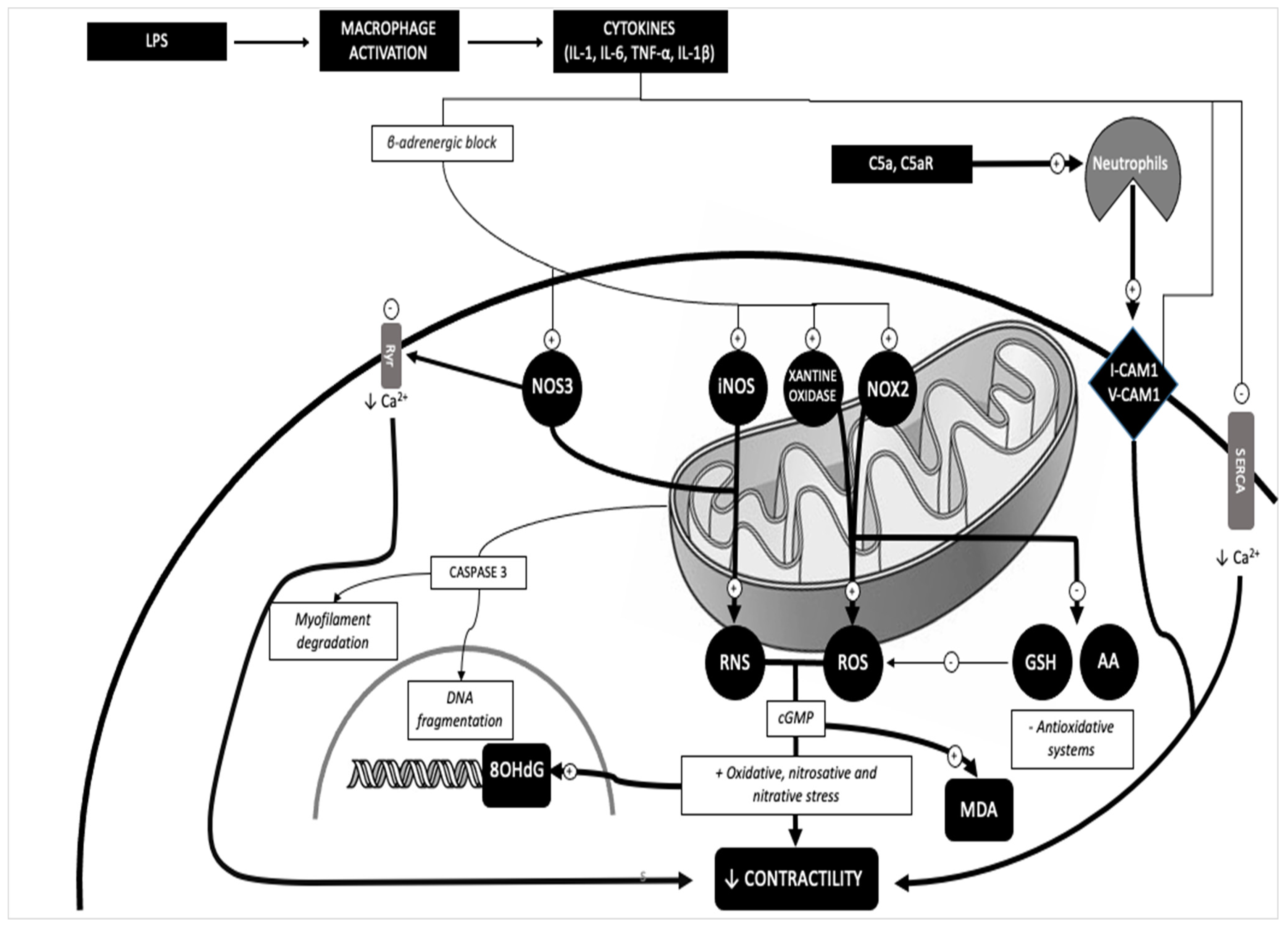 Ijms 25 02912 g002 Ijms 25 02912 g002