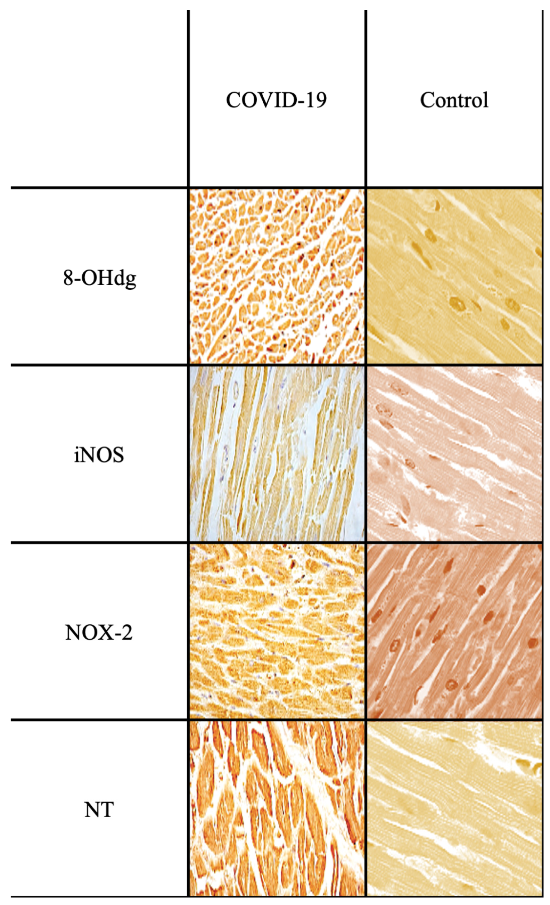 Ijms 25 02912 g003 Ijms 25 02912 g003