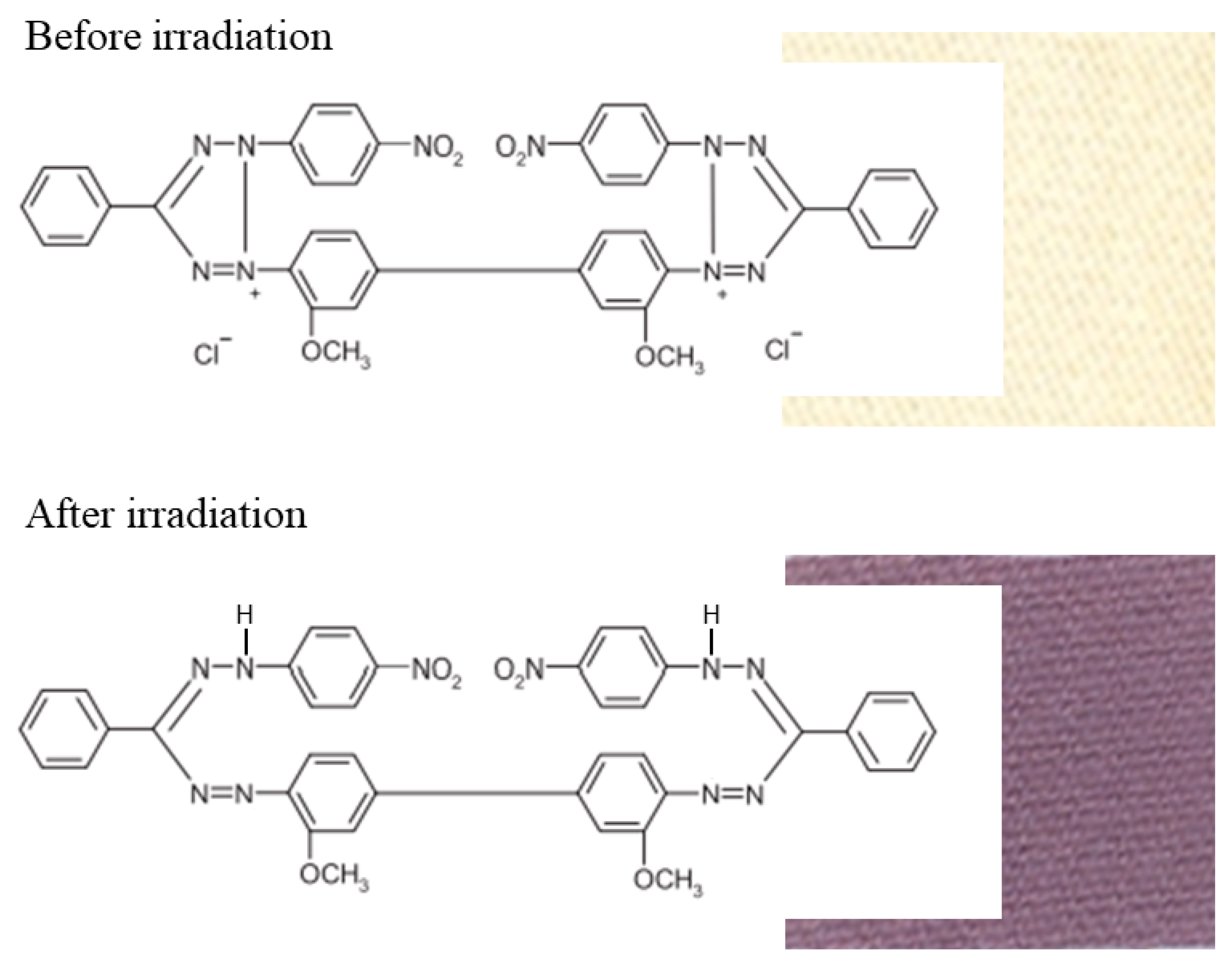 Ijms 25 02916 g001 Ijms 25 02916 g001