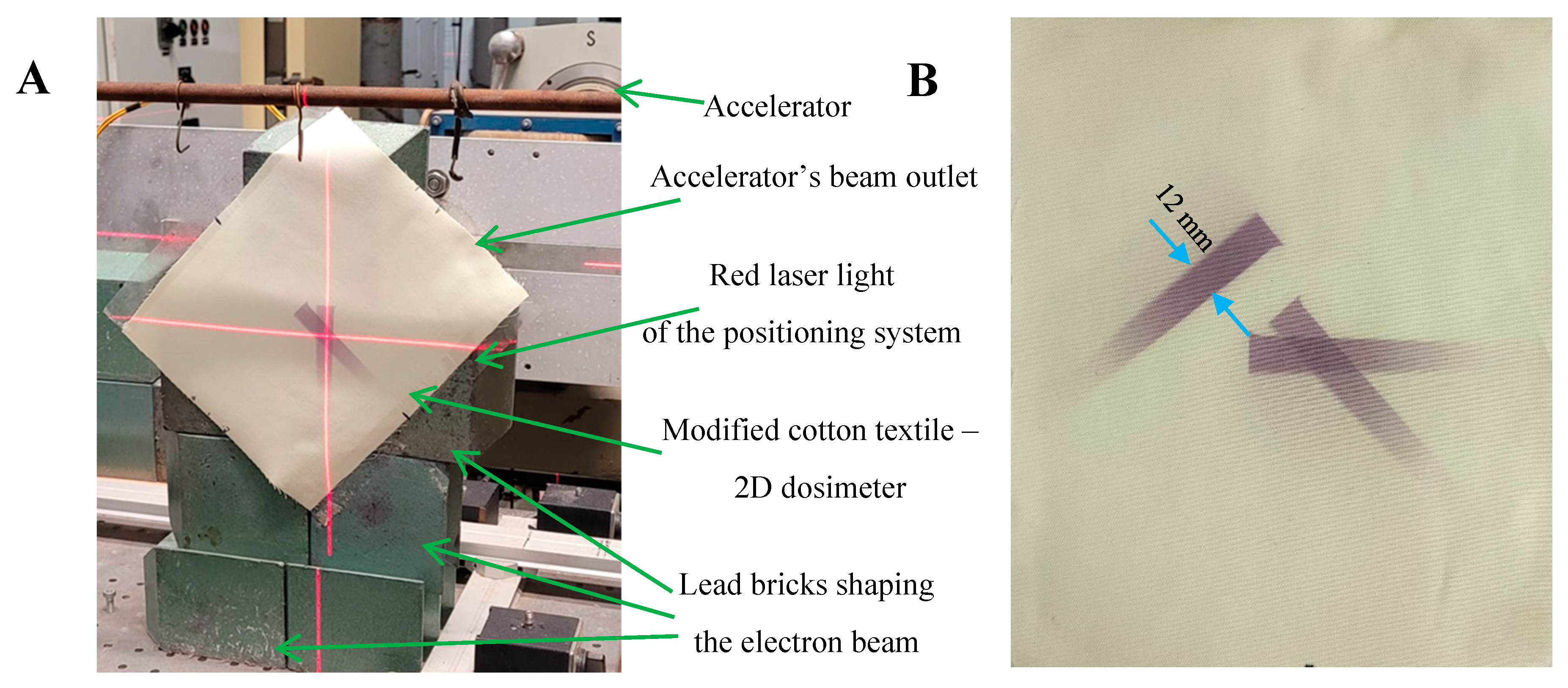 Ijms 25 02916 g005 Ijms 25 02916 g005