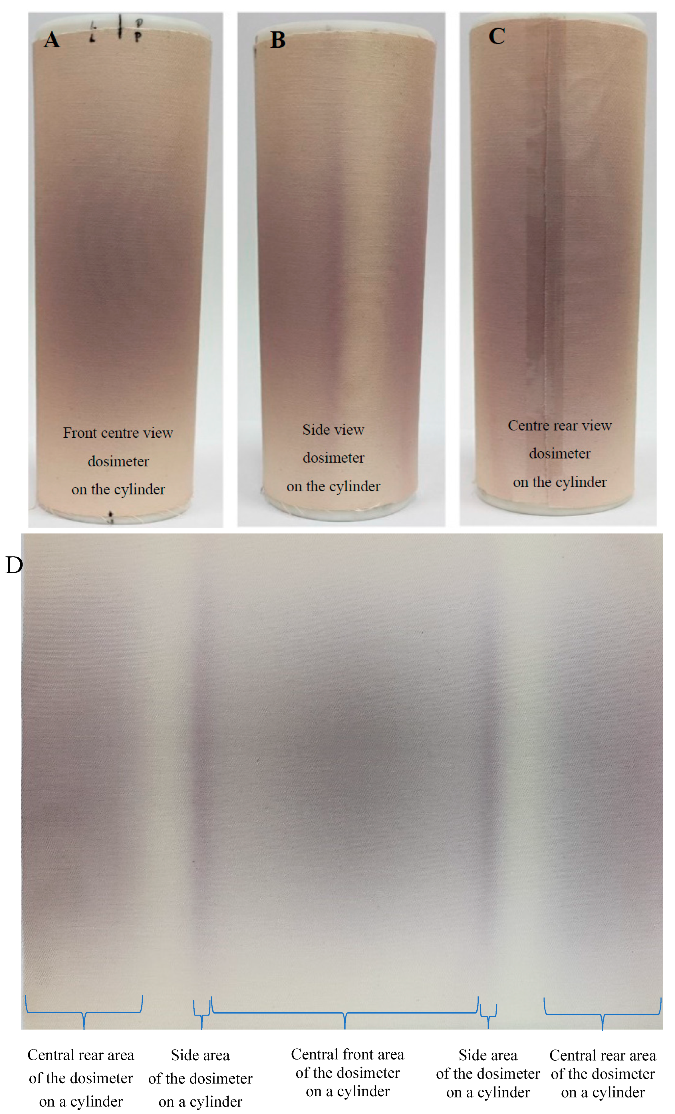 Ijms 25 02916 g007 Ijms 25 02916 g007