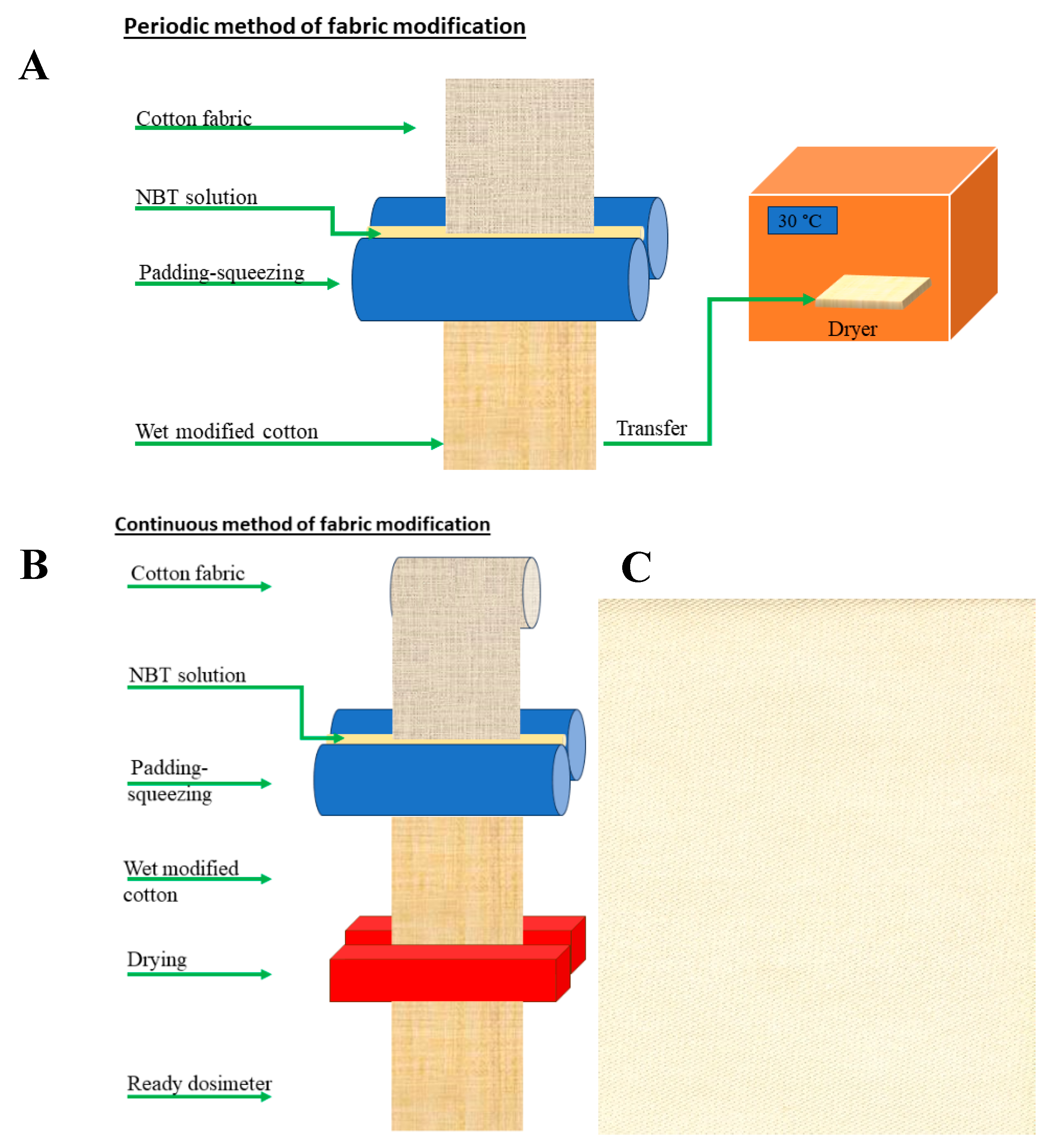 Ijms 25 02916 g009 Ijms 25 02916 g009