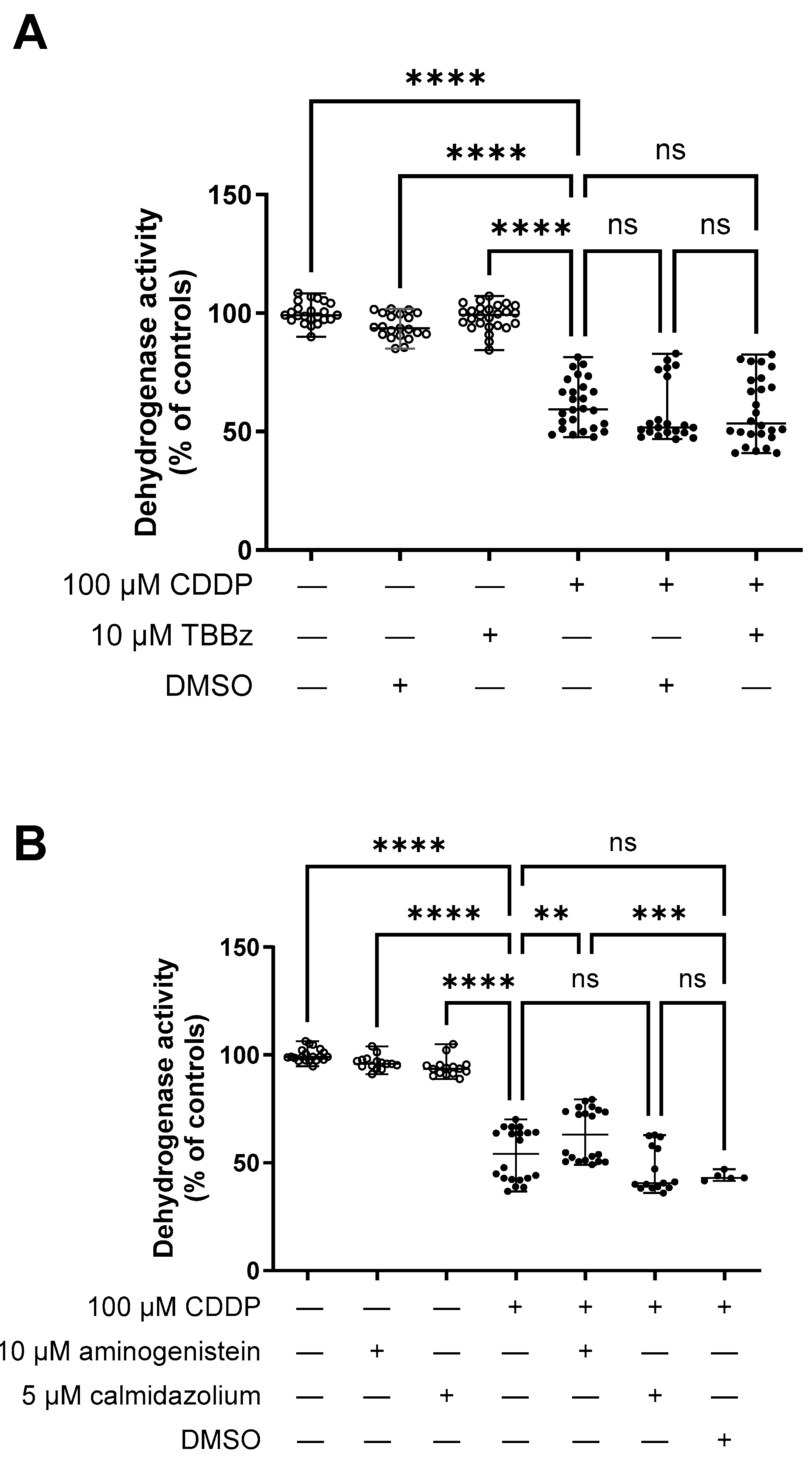 Ijms 25 02922 g006 Ijms 25 02922 g006