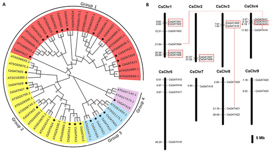 Genome-Wide Identification and Characterization of the Sweet Orange ...
