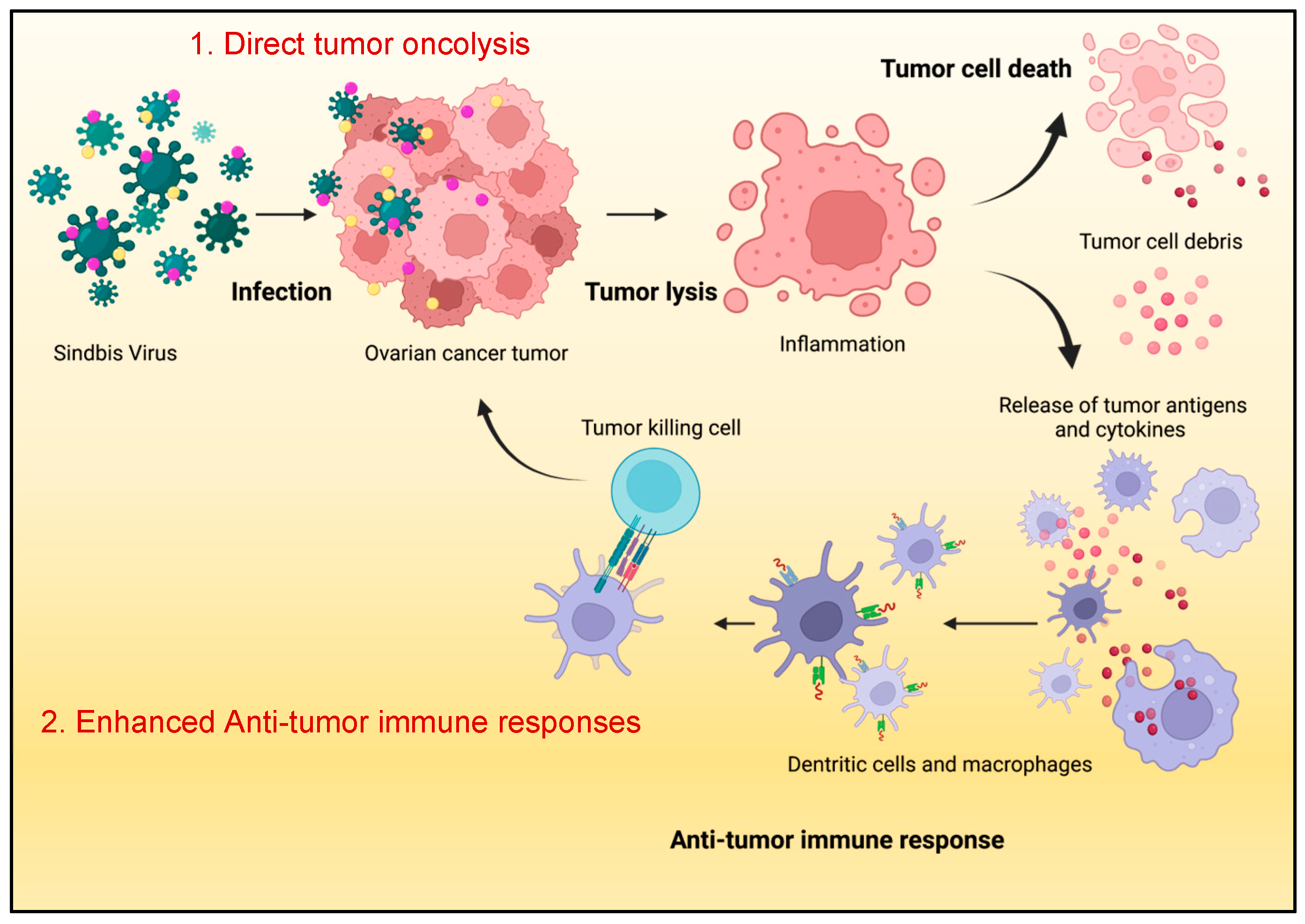 Ijms 25 02925 g004 Ijms 25 02925 g004