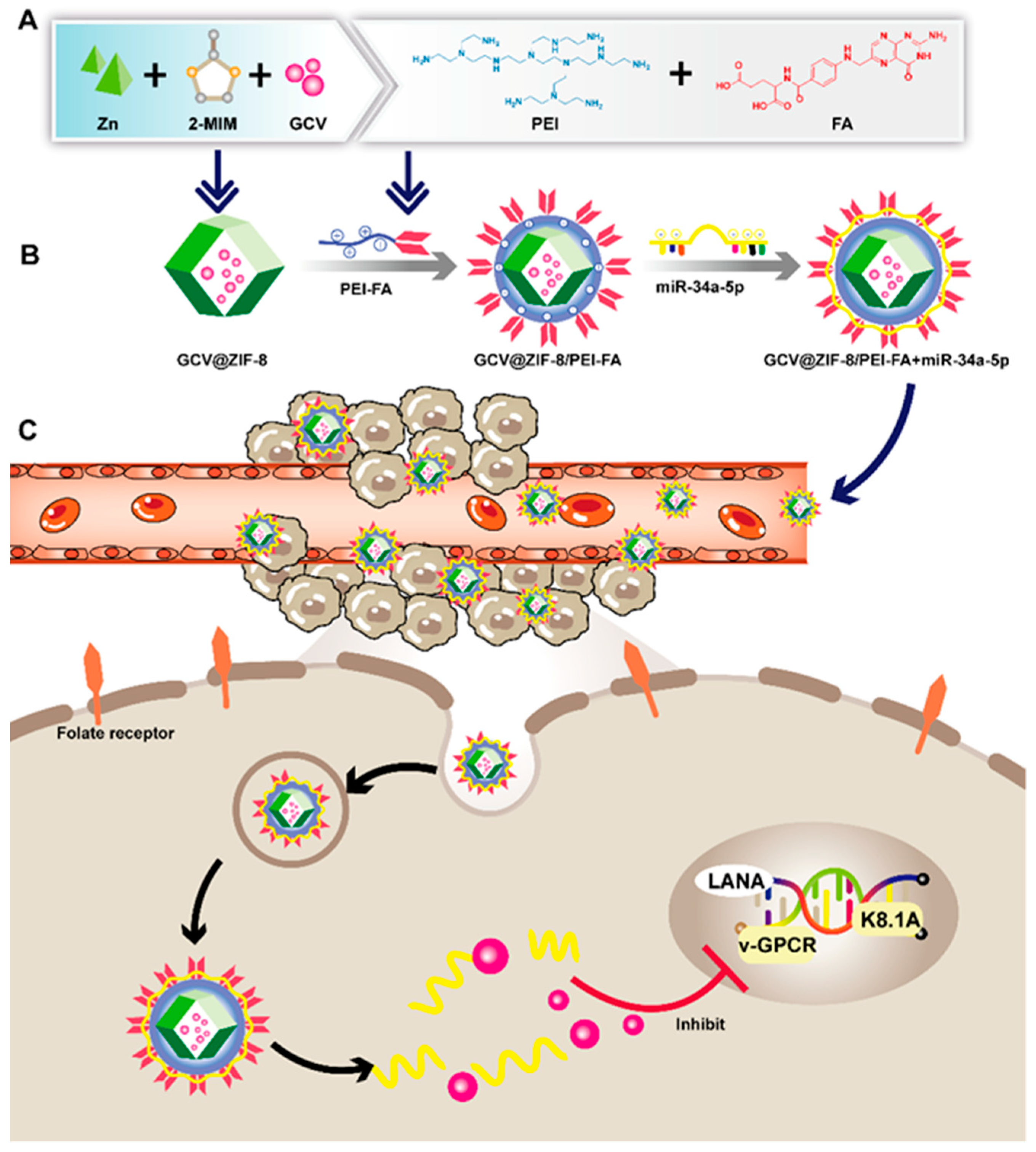 Ijms 25 02932 sch001