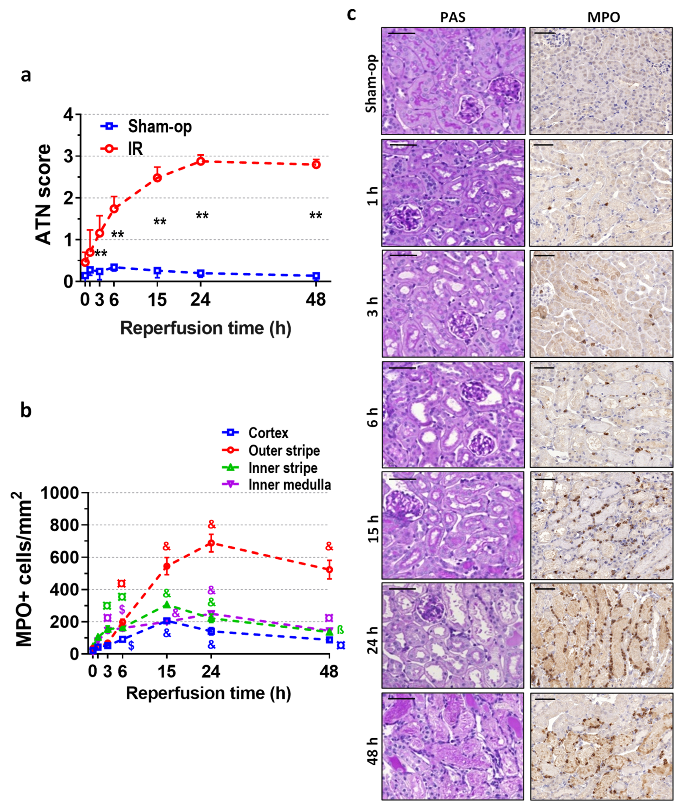 Ijms 25 02948 g002 Ijms 25 02948 g002