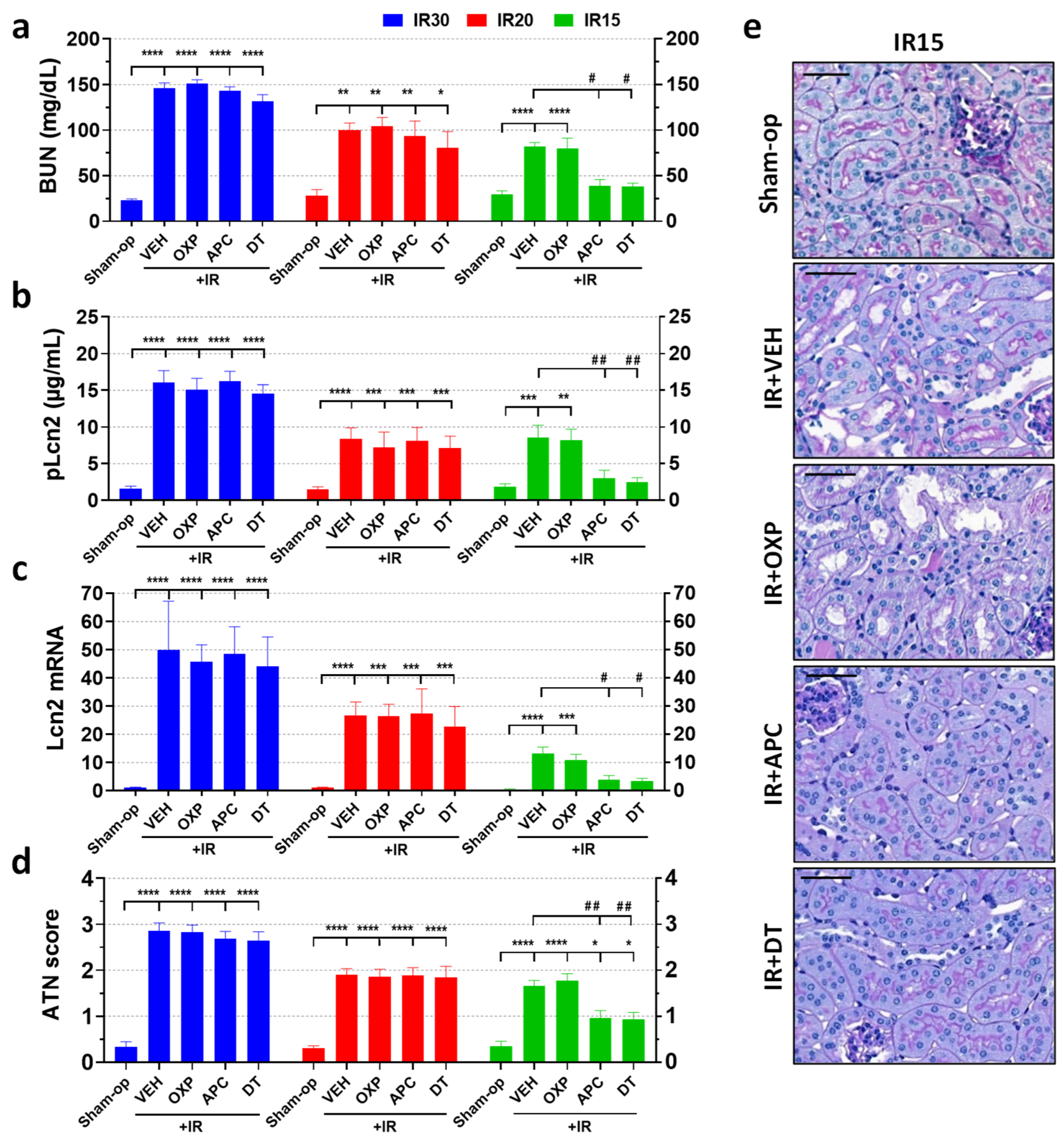 Ijms 25 02948 g003 Ijms 25 02948 g003