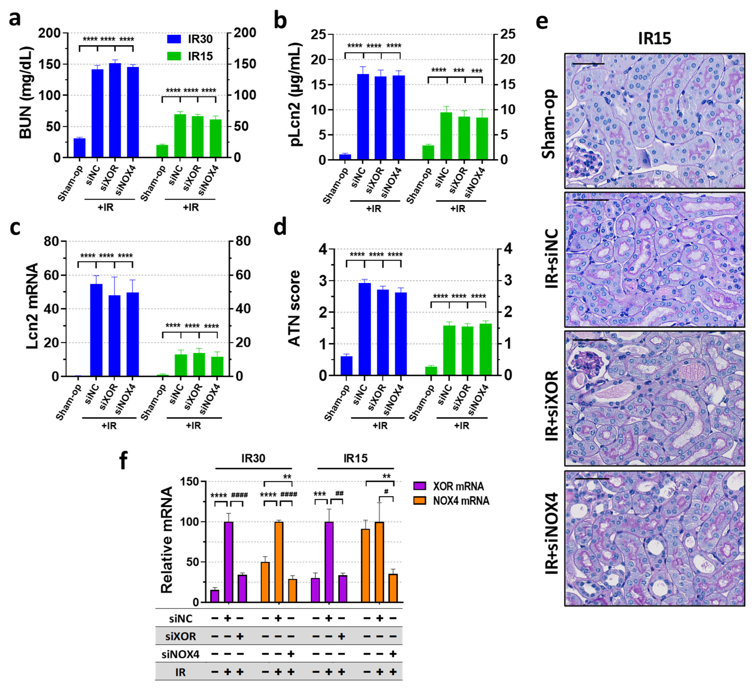 Ijms 25 02948 g004 Ijms 25 02948 g004