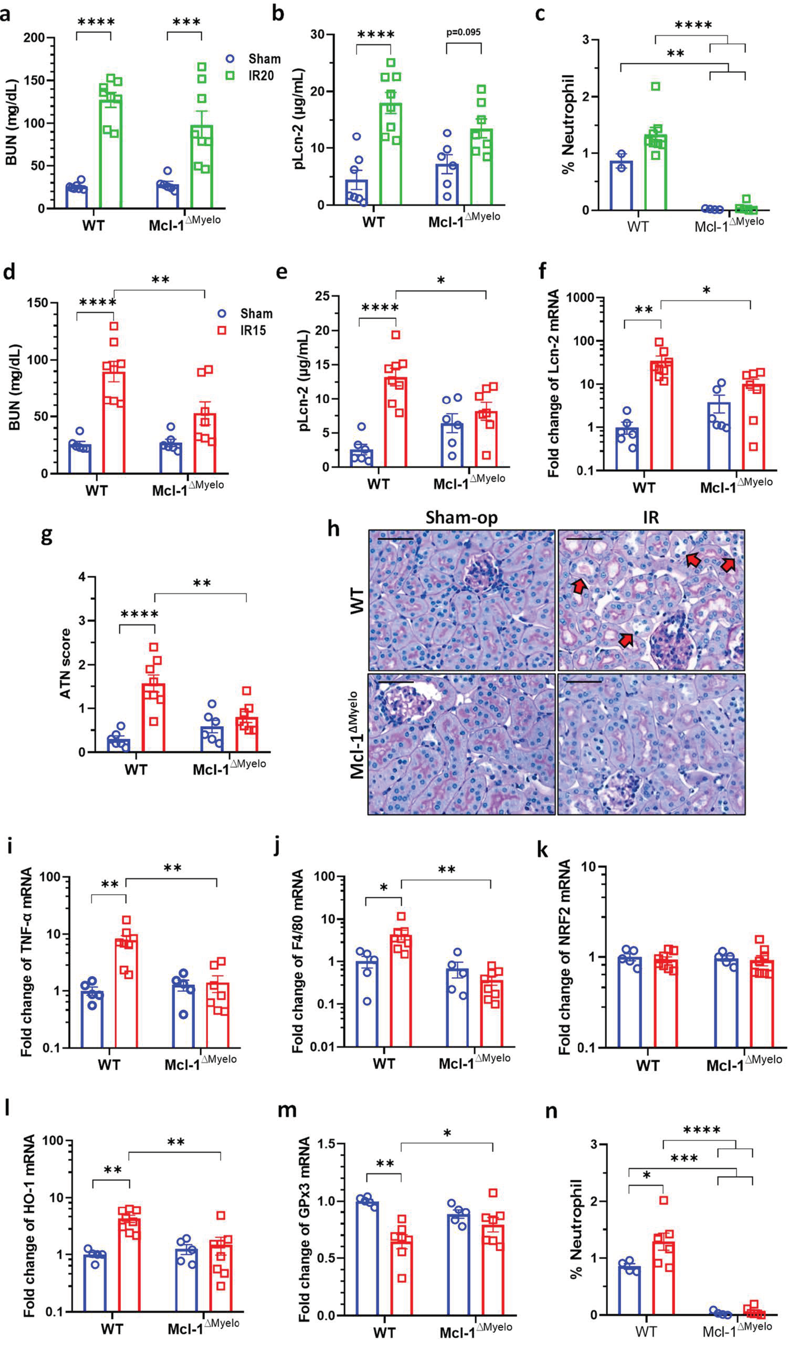 Ijms 25 02948 g006 Ijms 25 02948 g006