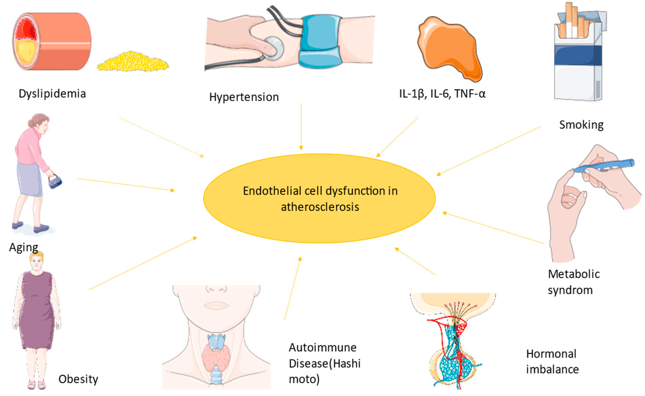 Ijms 25 02962 g002 Ijms 25 02962 g002