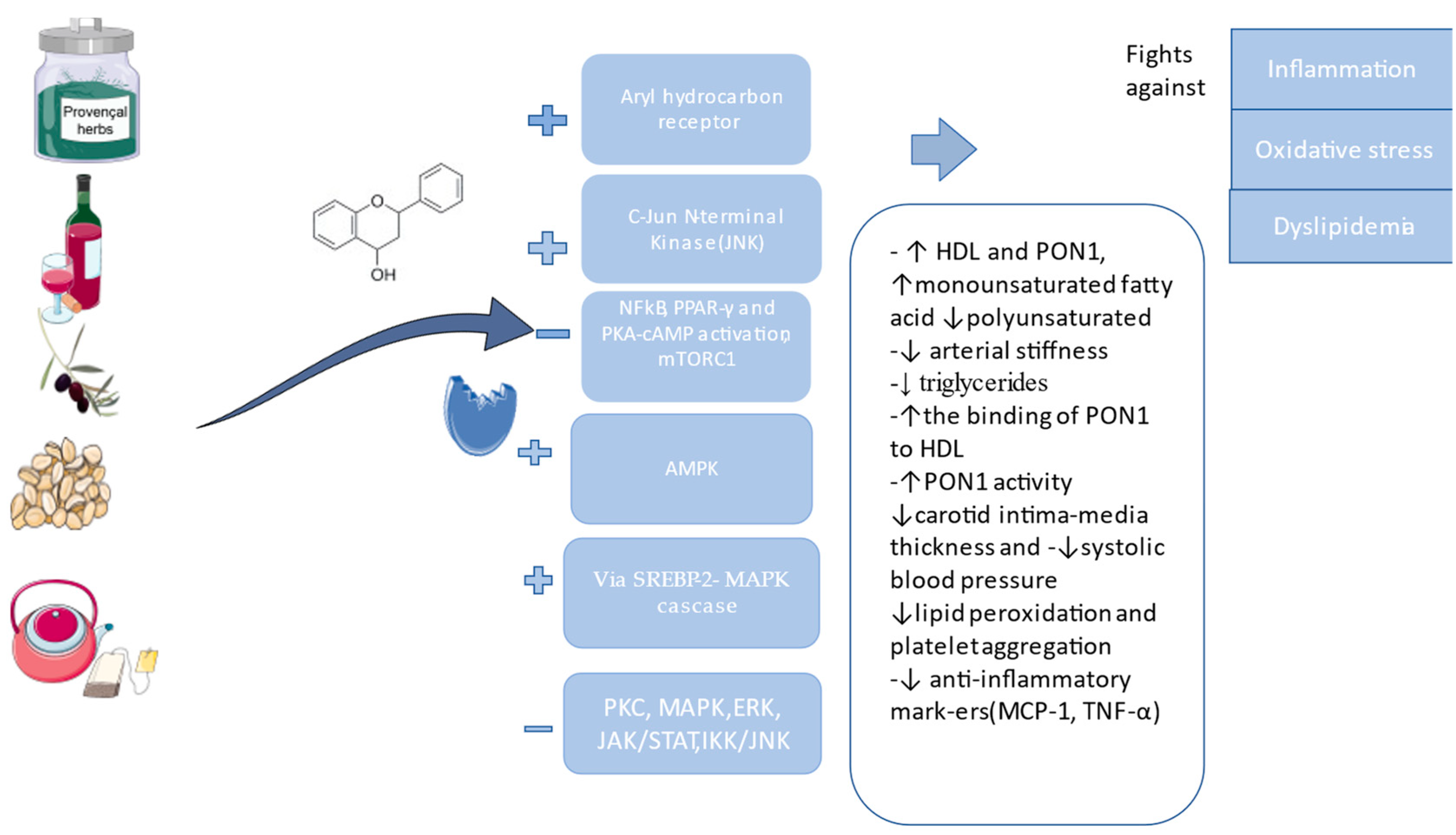 Ijms 25 02962 g004 Ijms 25 02962 g004