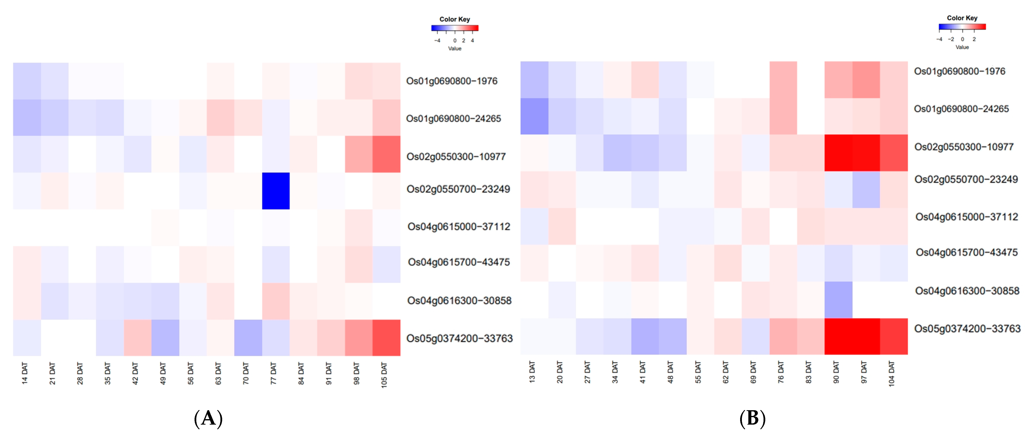Ijms 25 02969 g008 Ijms 25 02969 g008