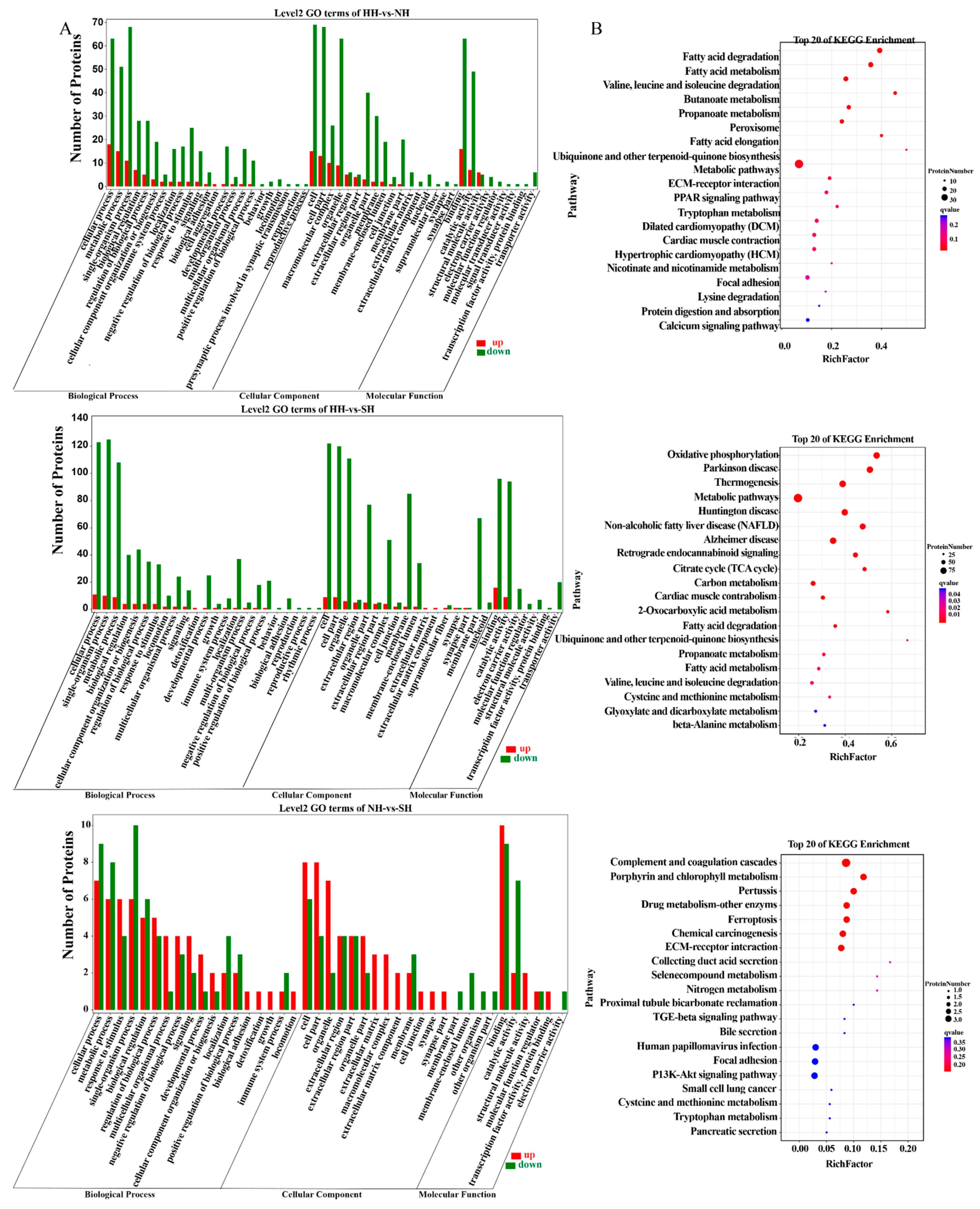Ijms 25 02975 g003 Ijms 25 02975 g003