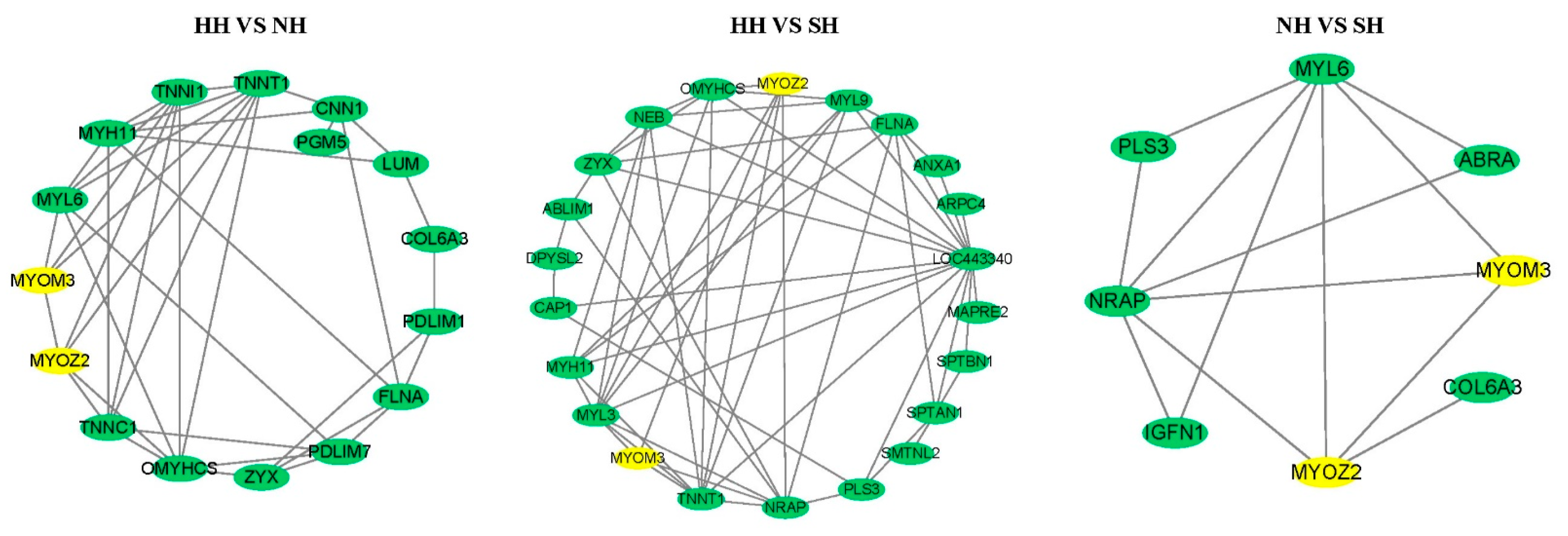 Ijms 25 02975 g005 Ijms 25 02975 g005
