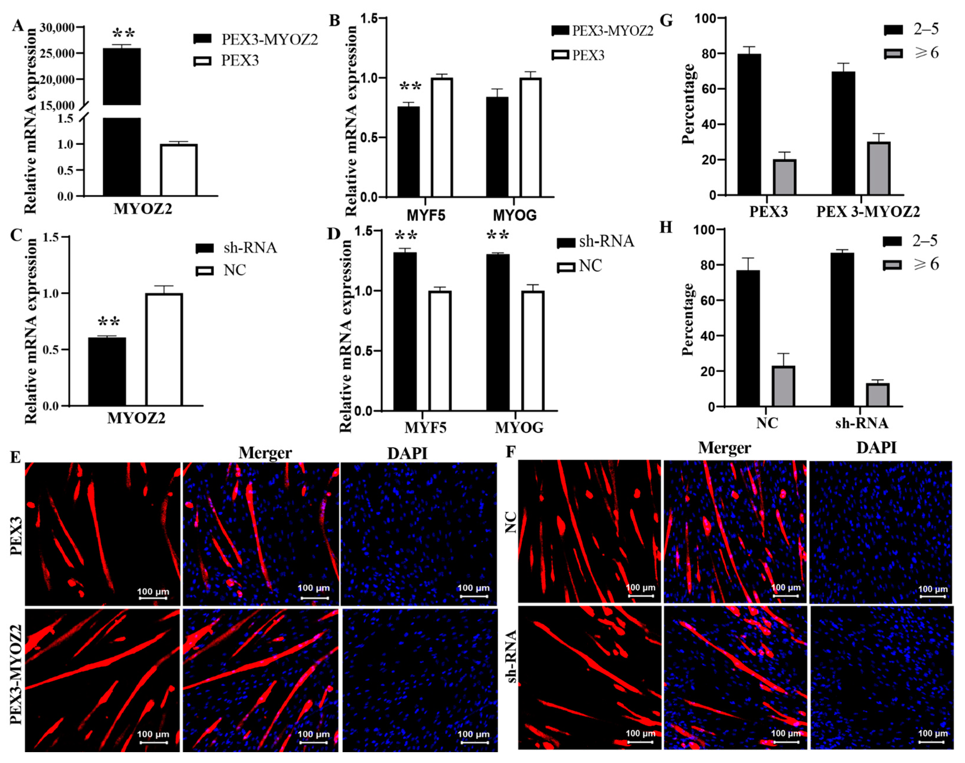 Ijms 25 02975 g007 Ijms 25 02975 g007