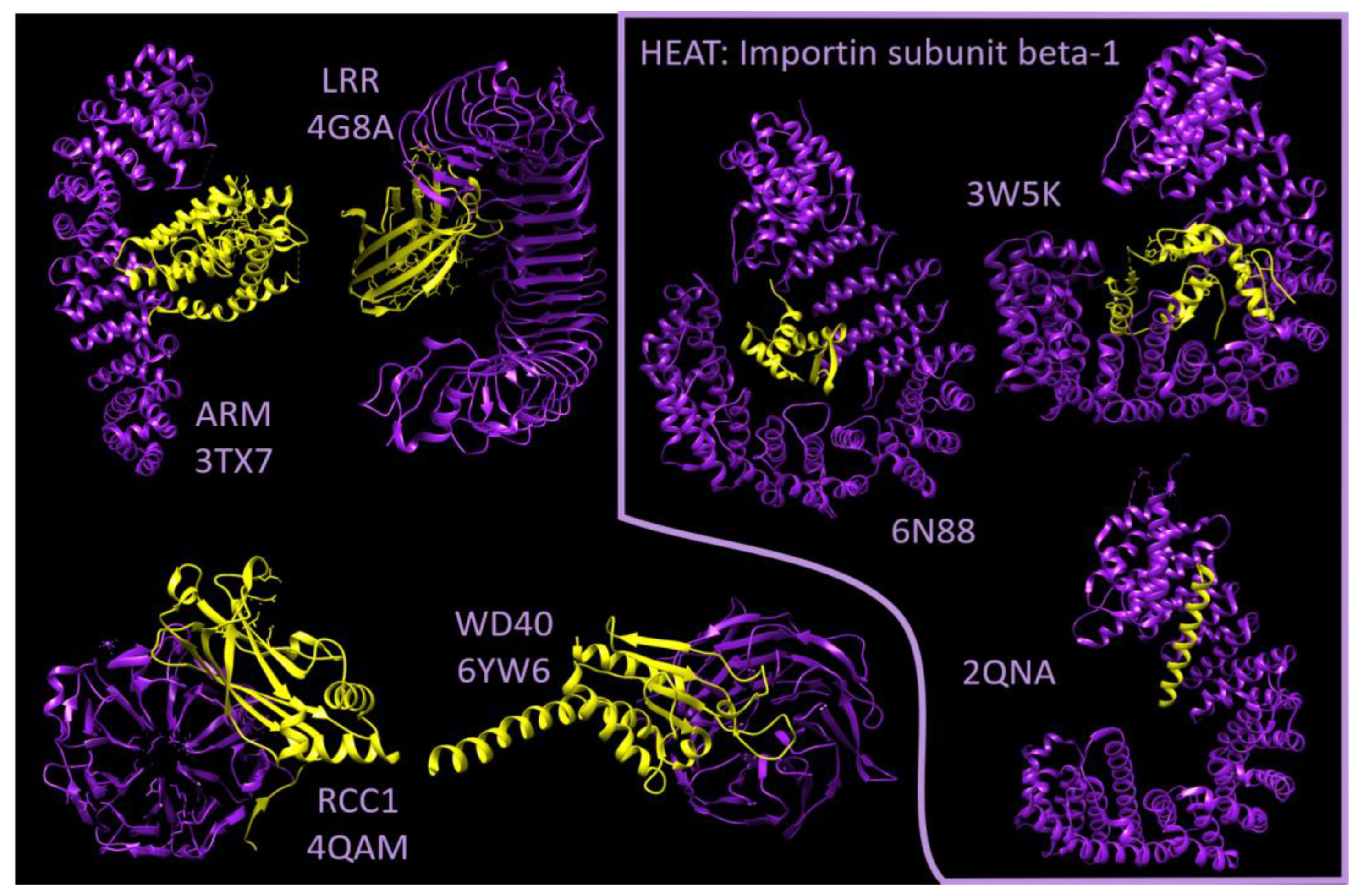 Ijms 25 02994 g003 Ijms 25 02994 g003