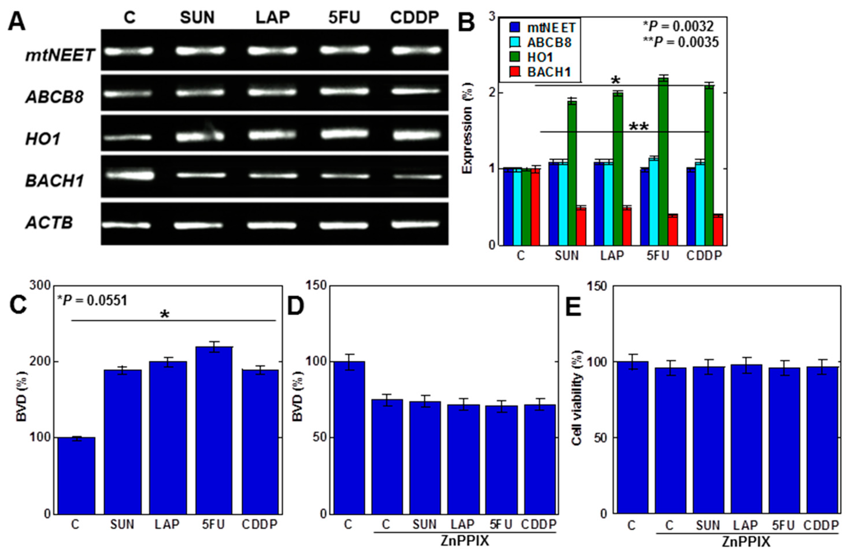 Ijms 25 03015 g004 Ijms 25 03015 g004